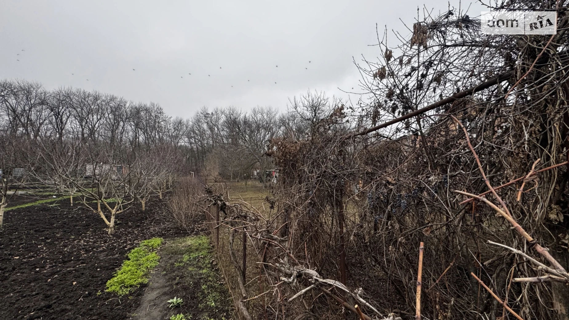 Продается земельный участок 4.84 соток в Днепропетровской области, цена: 3500 $ - фото 4