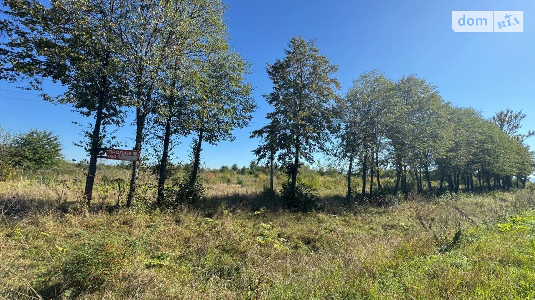 Продается земельный участок 1.1 соток в Ивано-Франковской области, цена: 3080 $ - фото 2