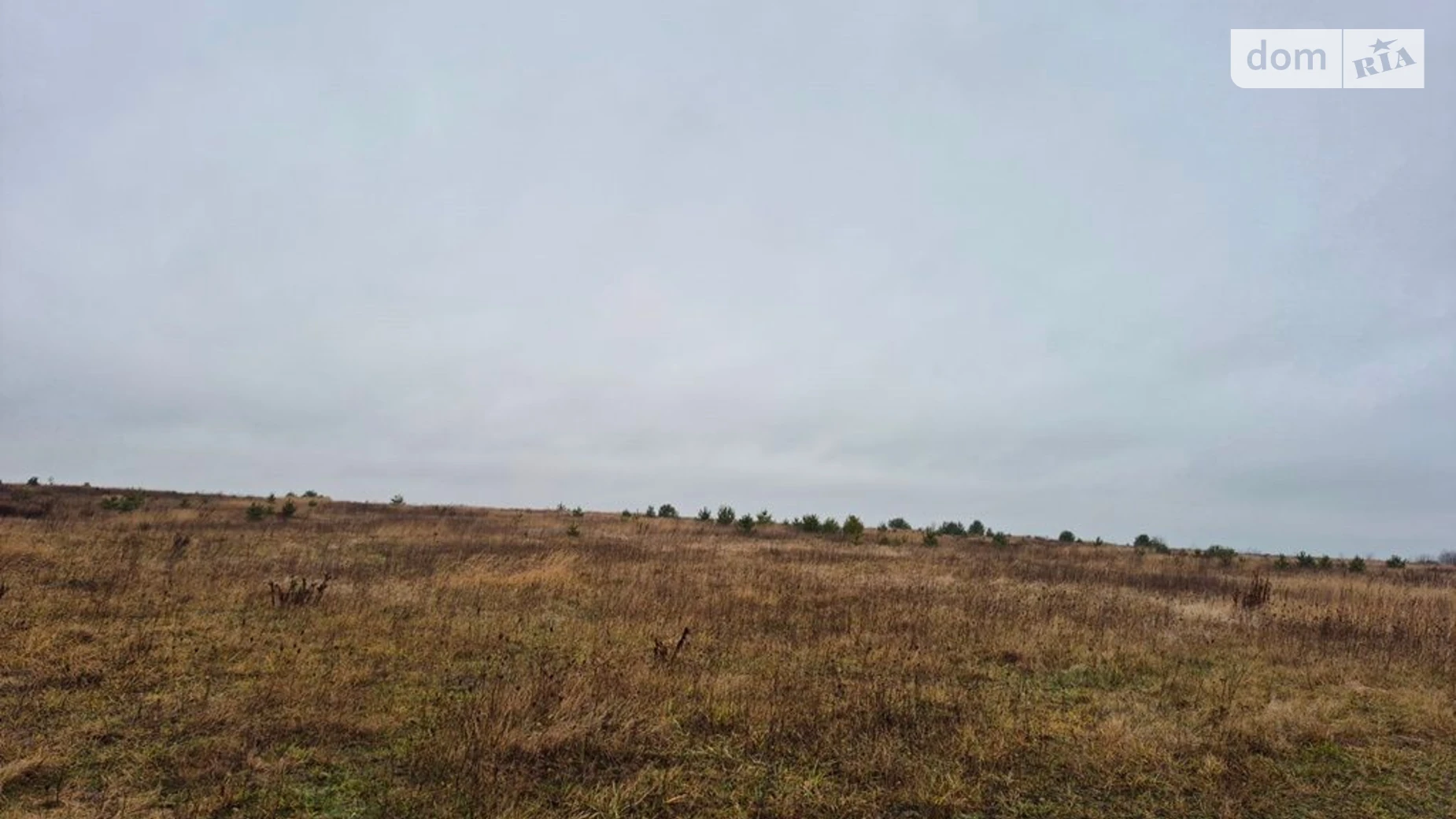 Хорохорин, цена: 17438 грн - фото 2