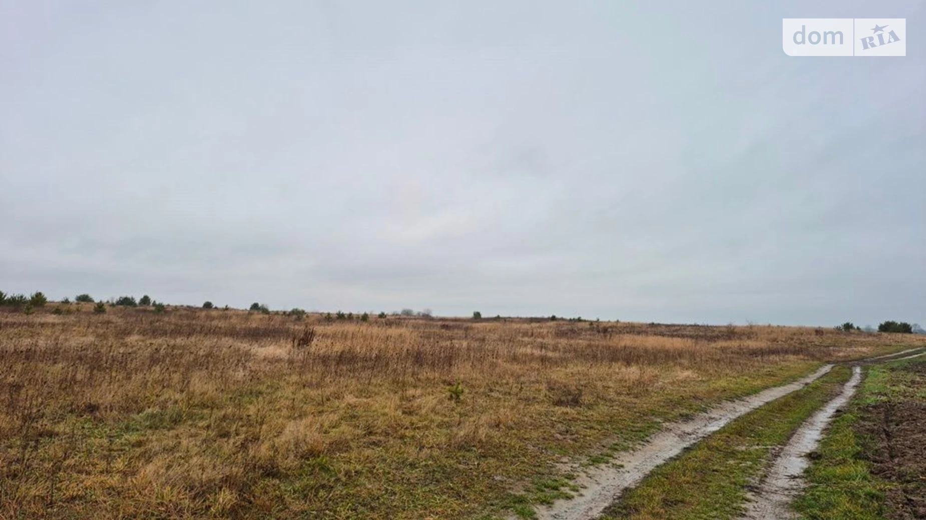 Хорохорин, цена: 17438 грн - фото 3