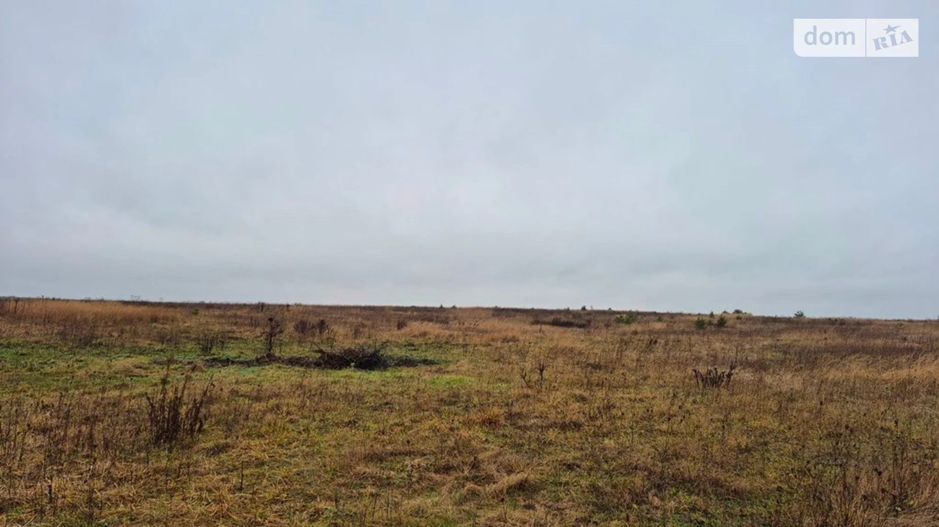 Хорохорин, цена: 17438 грн - фото 4