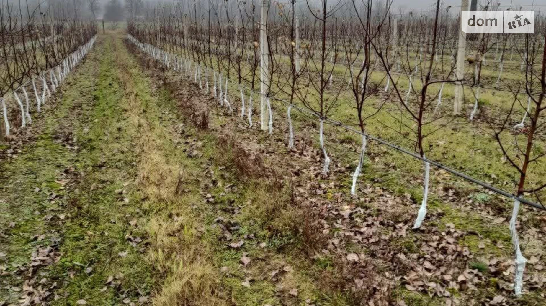 Продается земельный участок 24 соток в Винницкой области, цена: 240000 $ - фото 2
