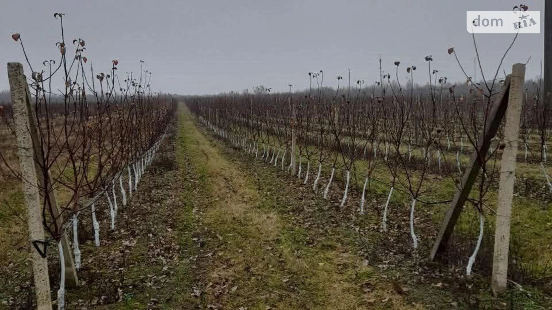 Продается земельный участок 24 соток в Винницкой области, цена: 240000 $ - фото 3