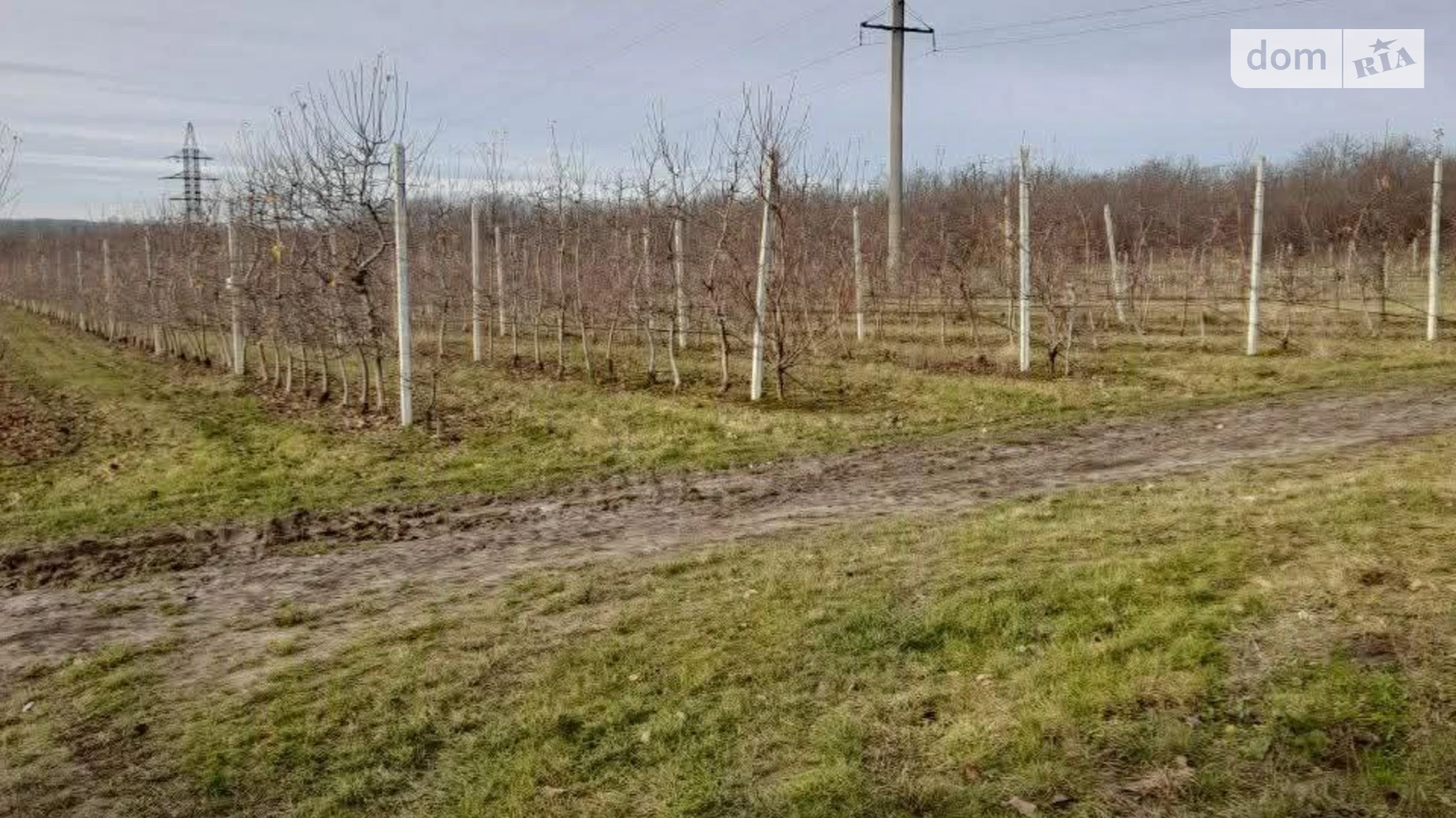 Продается земельный участок 24 соток в Винницкой области, цена: 240000 $ - фото 5