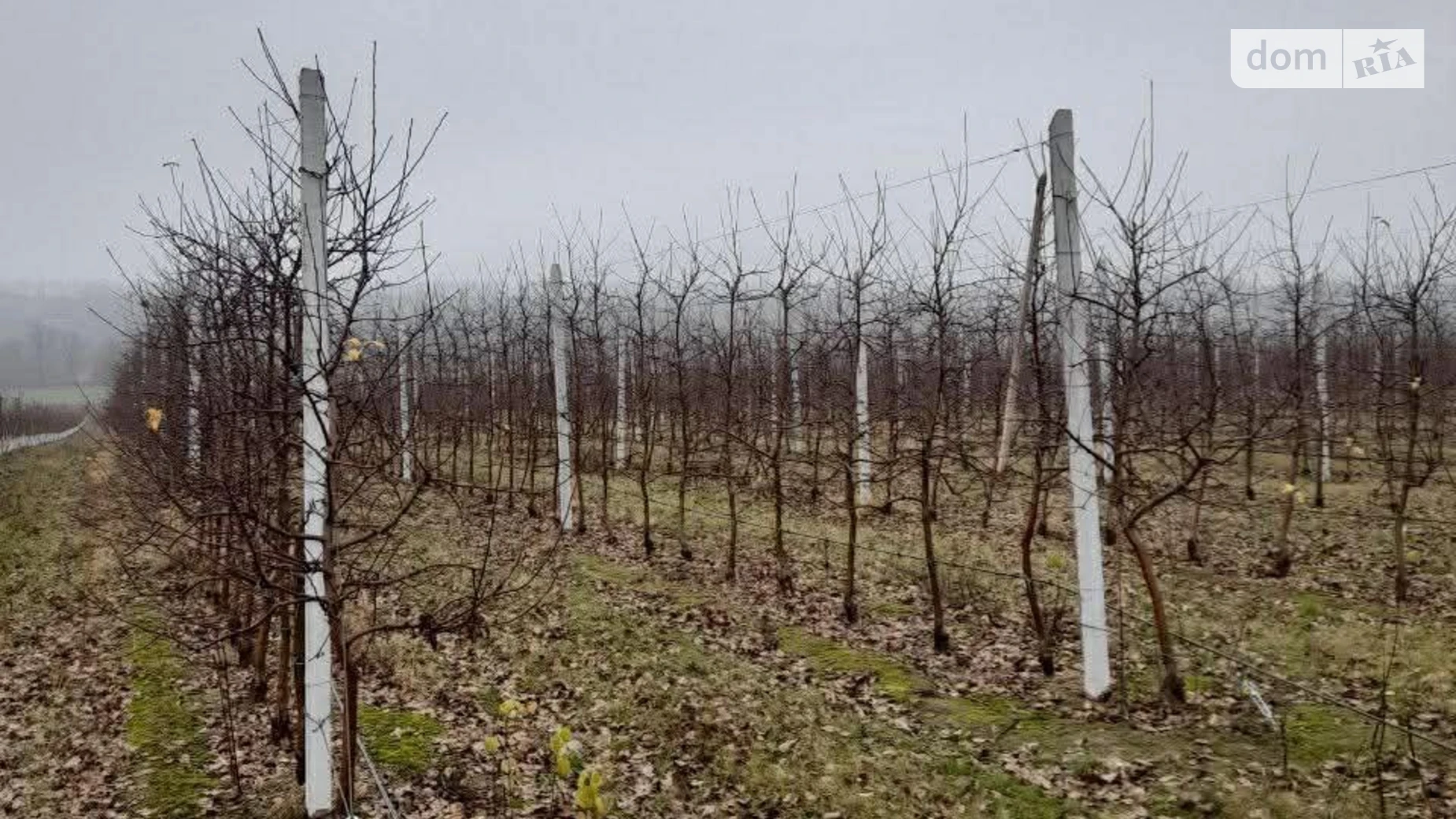 Продается земельный участок 24 соток в Винницкой области, цена: 240000 $ - фото 4