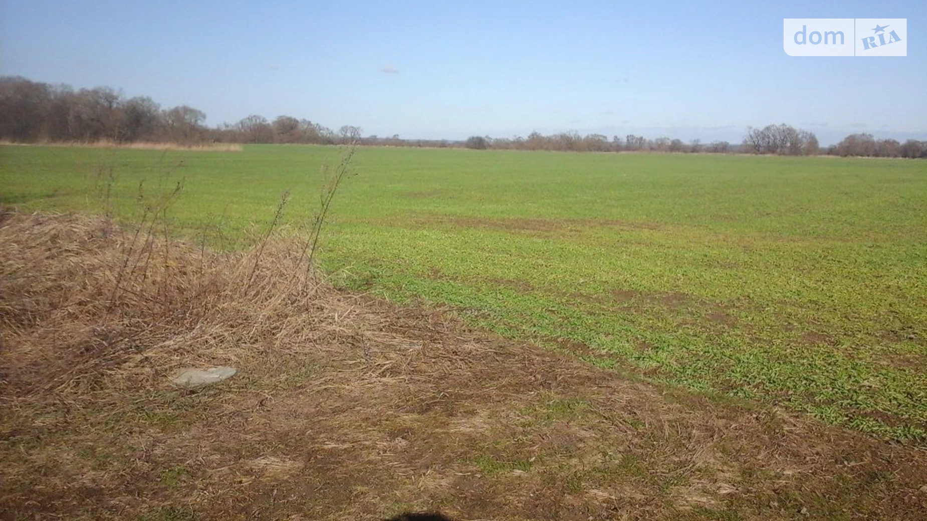 Ольховцы, цена: 60303 грн - фото 2