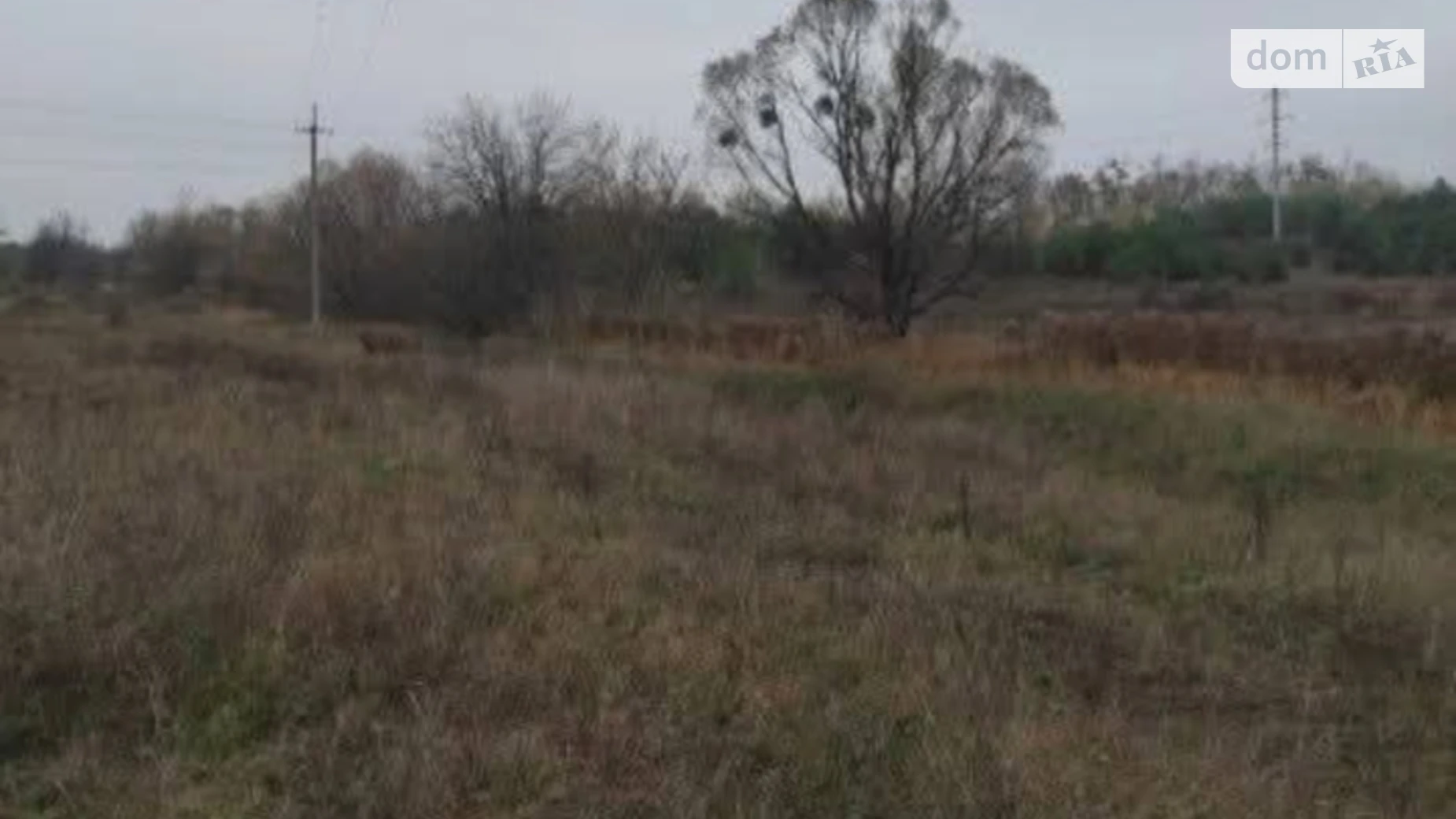 Продается земельный участок 11 соток в Житомирской области, цена: 10000 $ - фото 5