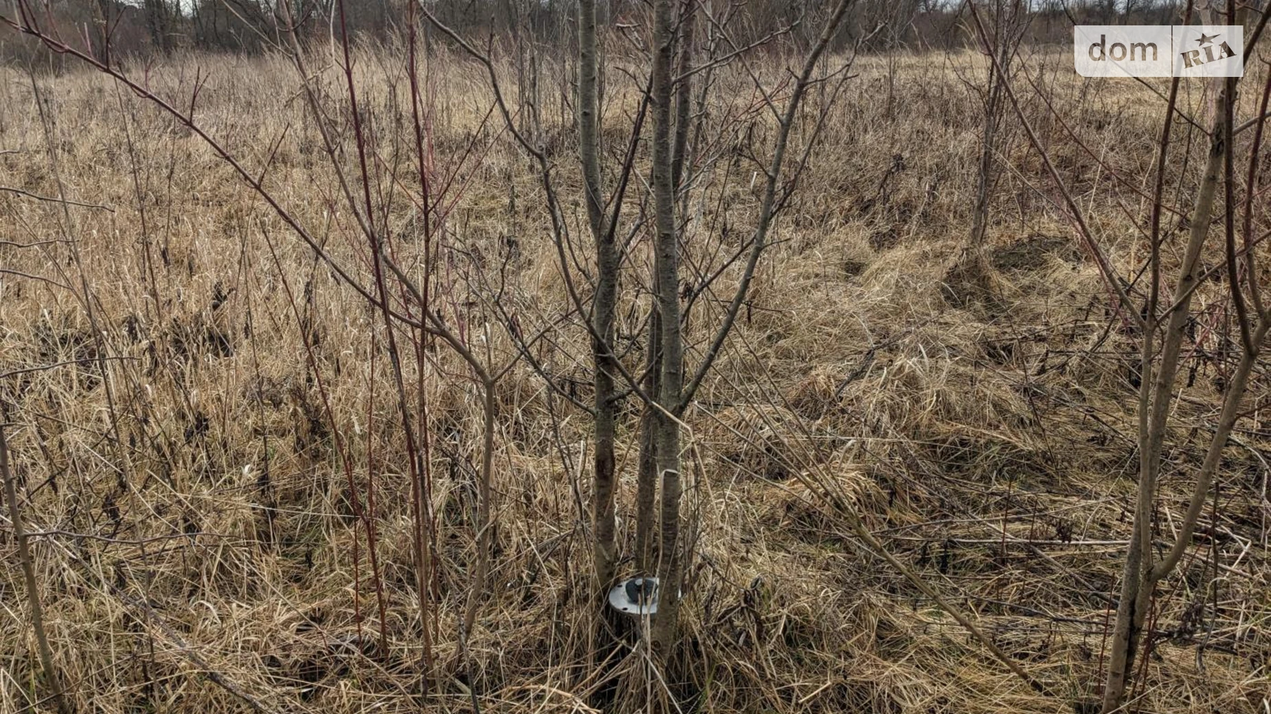 Продается земельный участок 15 соток в Ивано-Франковской области, цена: 30000 $ - фото 3