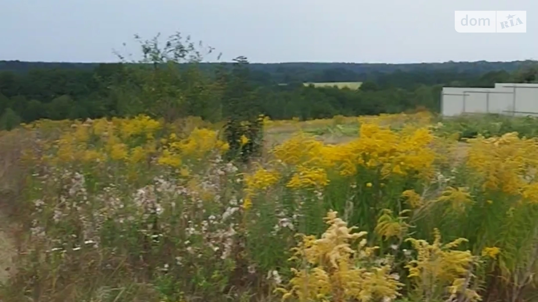 Продается земельный участок 10 соток в Винницкой области, цена: 8000 $ - фото 2