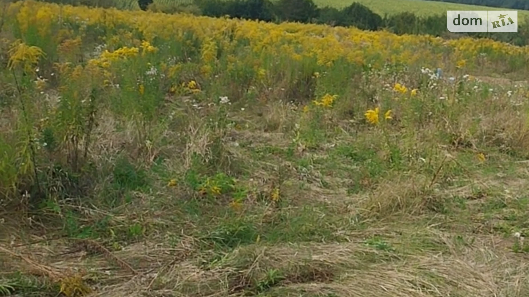 Продается земельный участок 10 соток в Винницкой области, цена: 8000 $ - фото 3