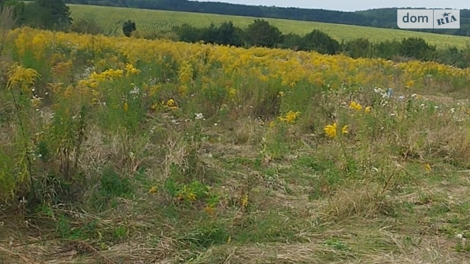 Продается земельный участок 10 соток в Винницкой области, цена: 8000 $ - фото 4