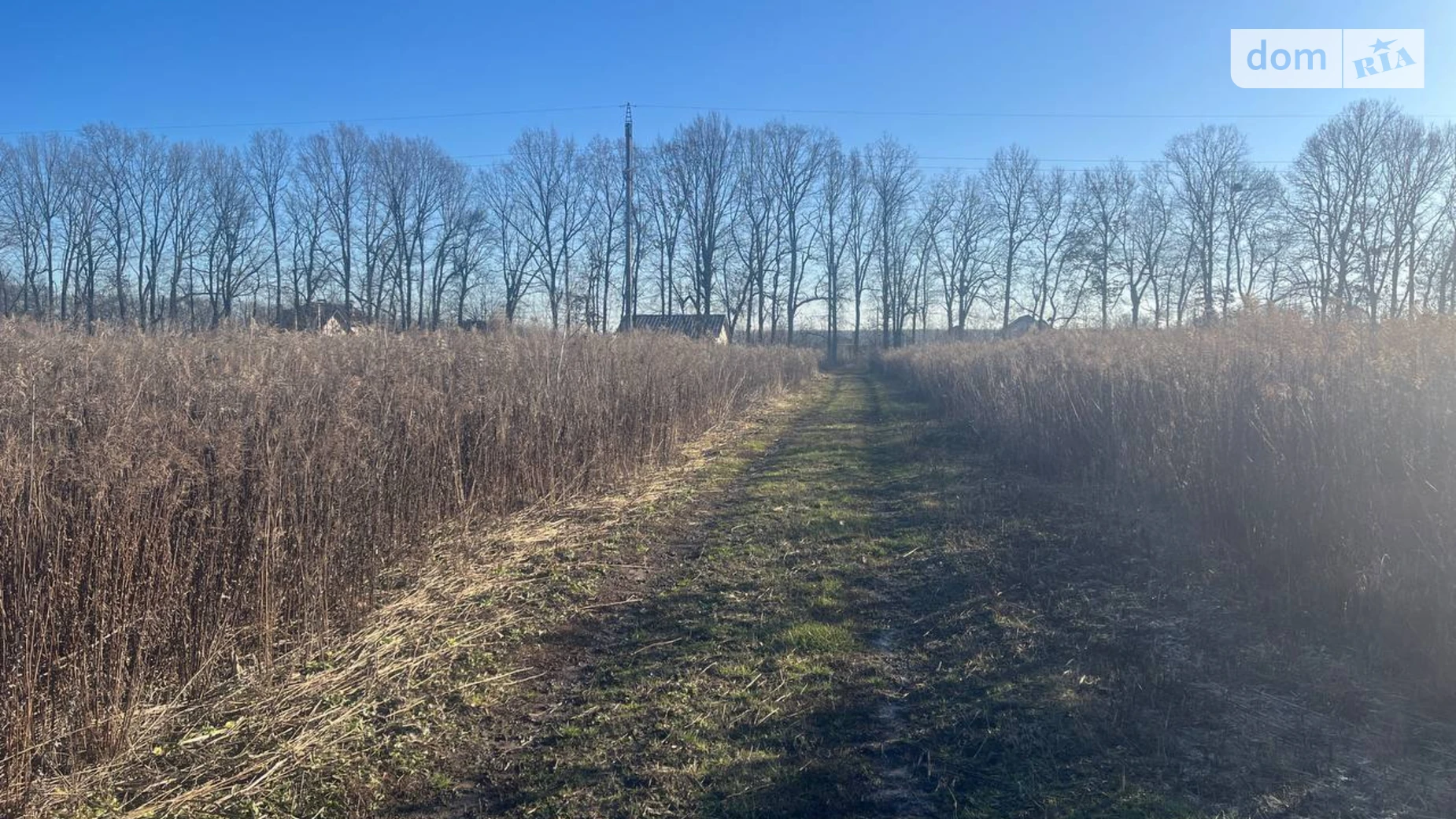 7-й пер. Леоніда Каденюка(Комарова) Агрономичное, цена: 12000 $ - фото 3