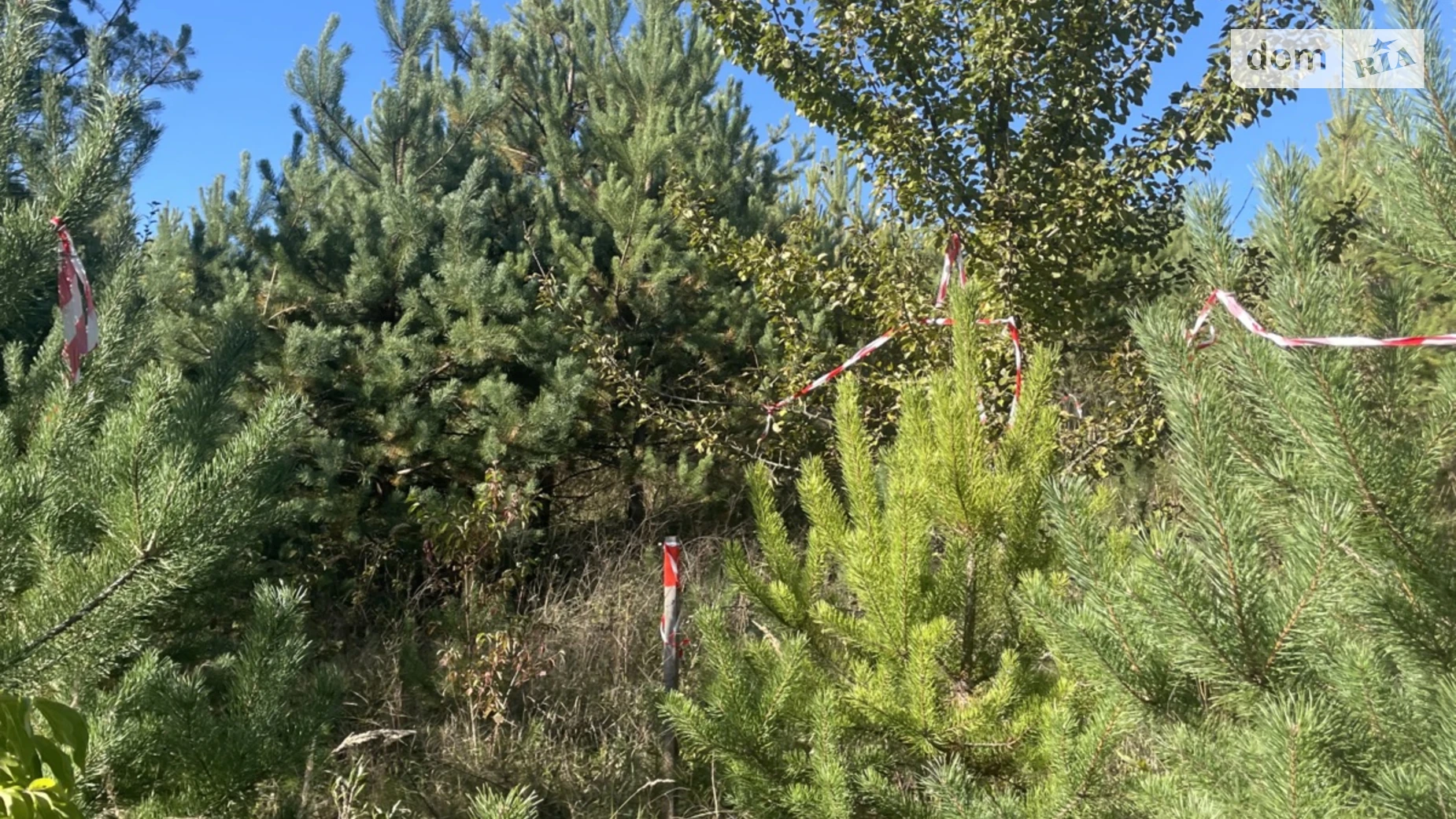 Ивачев Долишний, цена: 3500 $ - фото 4