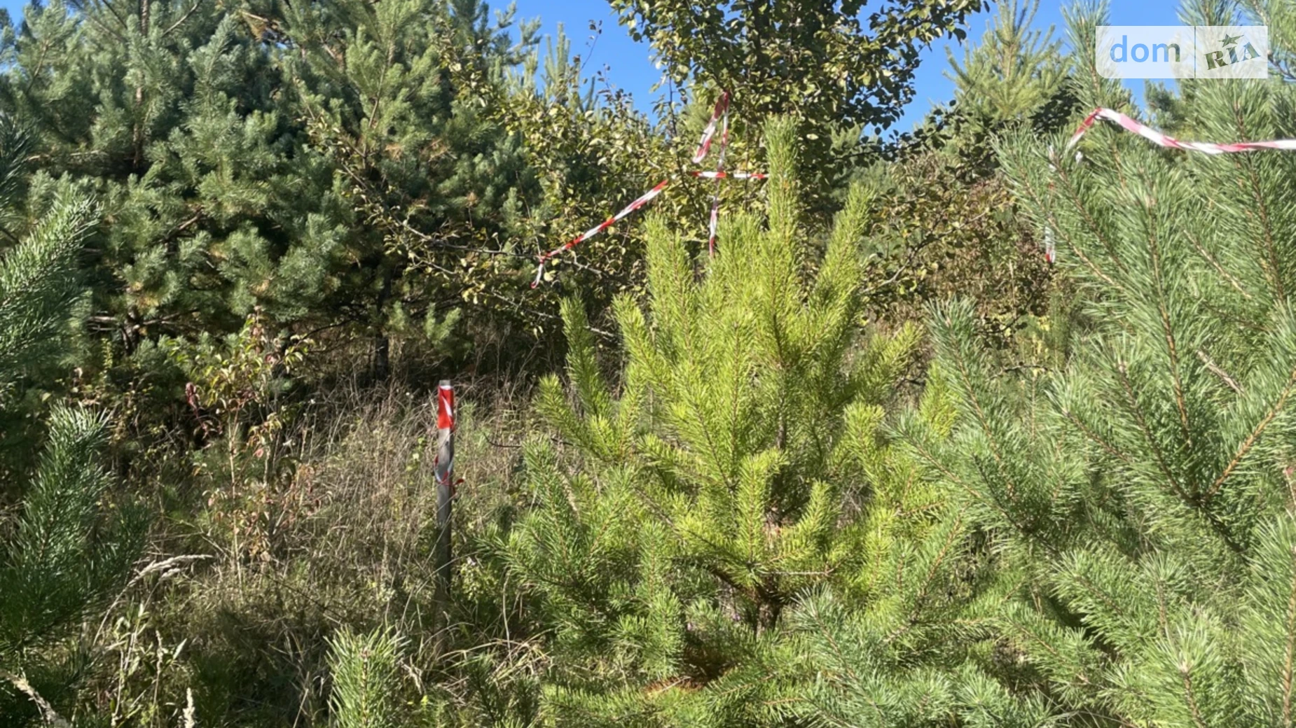 Ивачев Долишний, цена: 3500 $ - фото 5