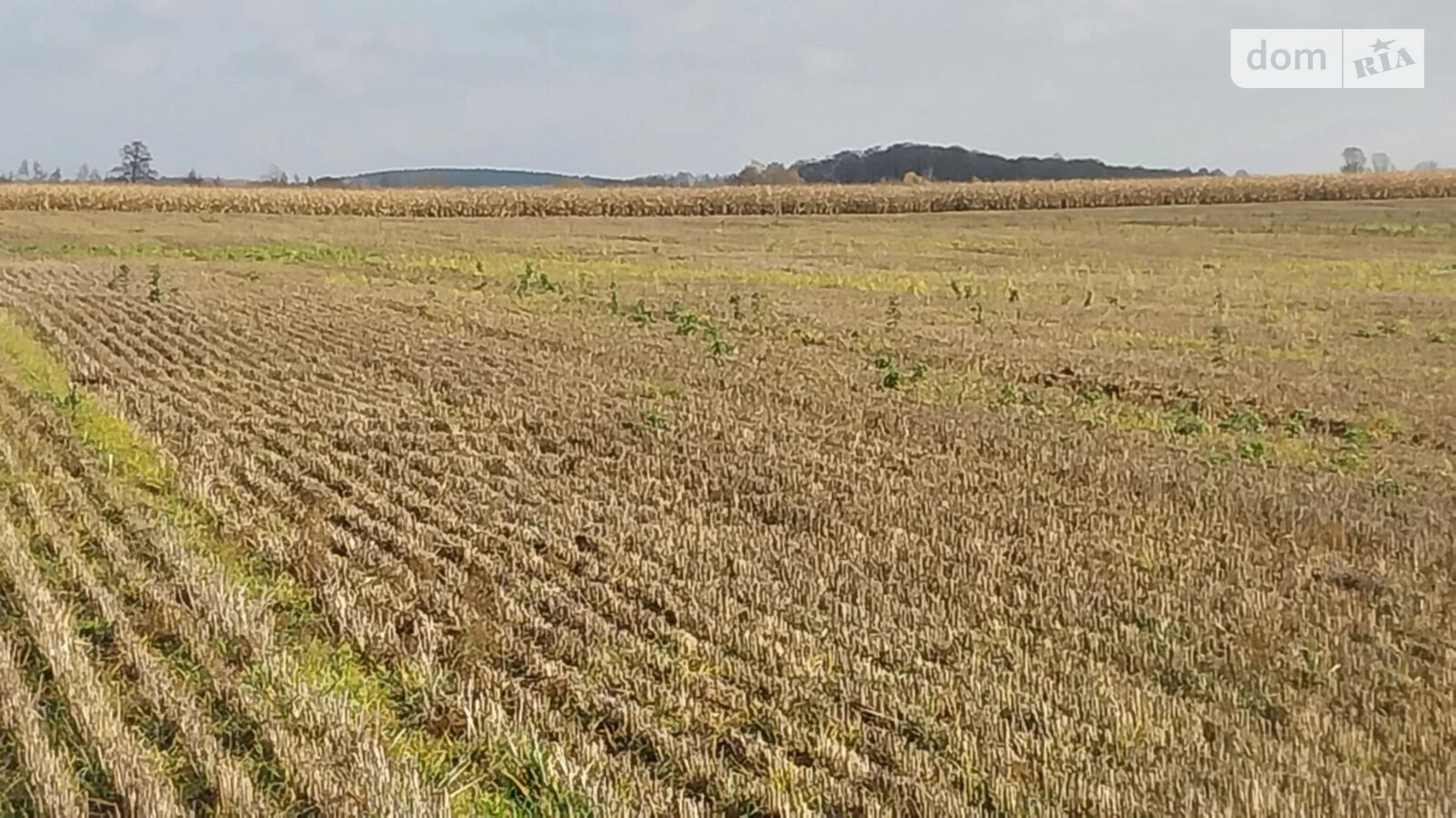 Дворец, цена: 63607 грн - фото 2