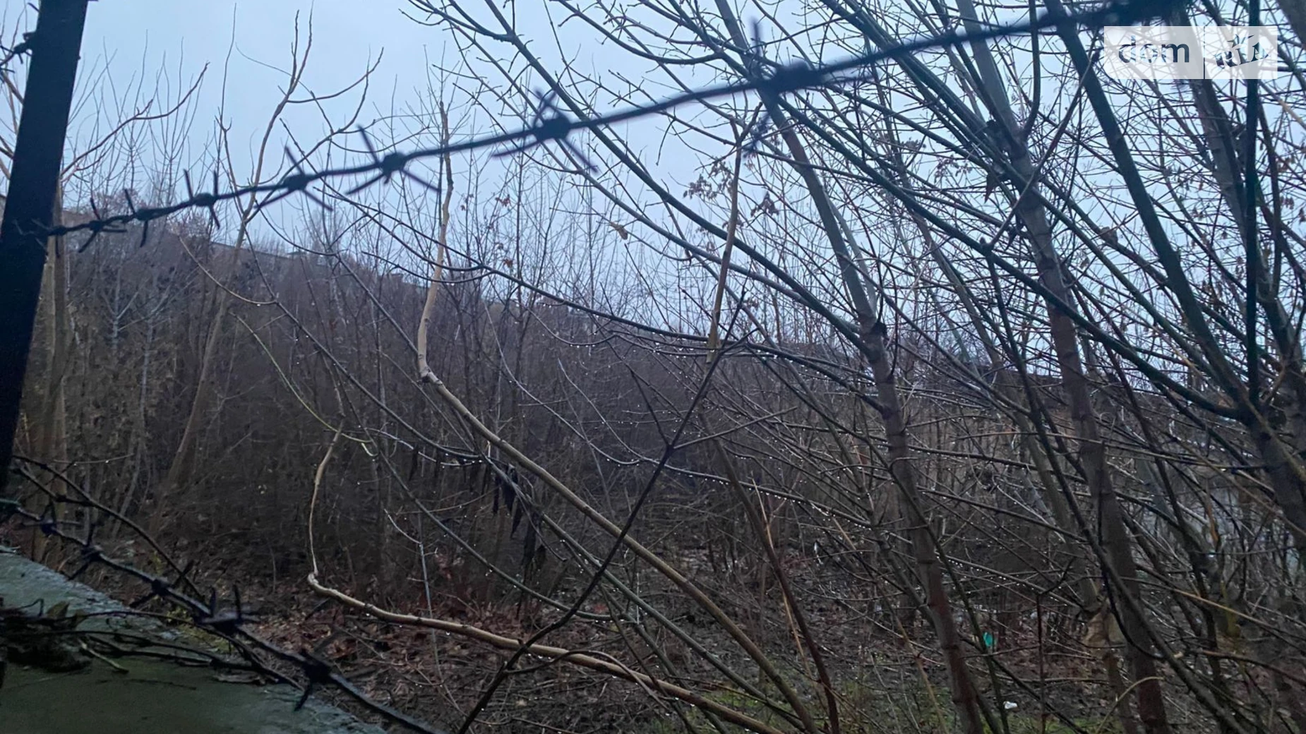 Сдается в аренду земельный участок 0.2044 соток в  области, цена: 64599 грн - фото 5