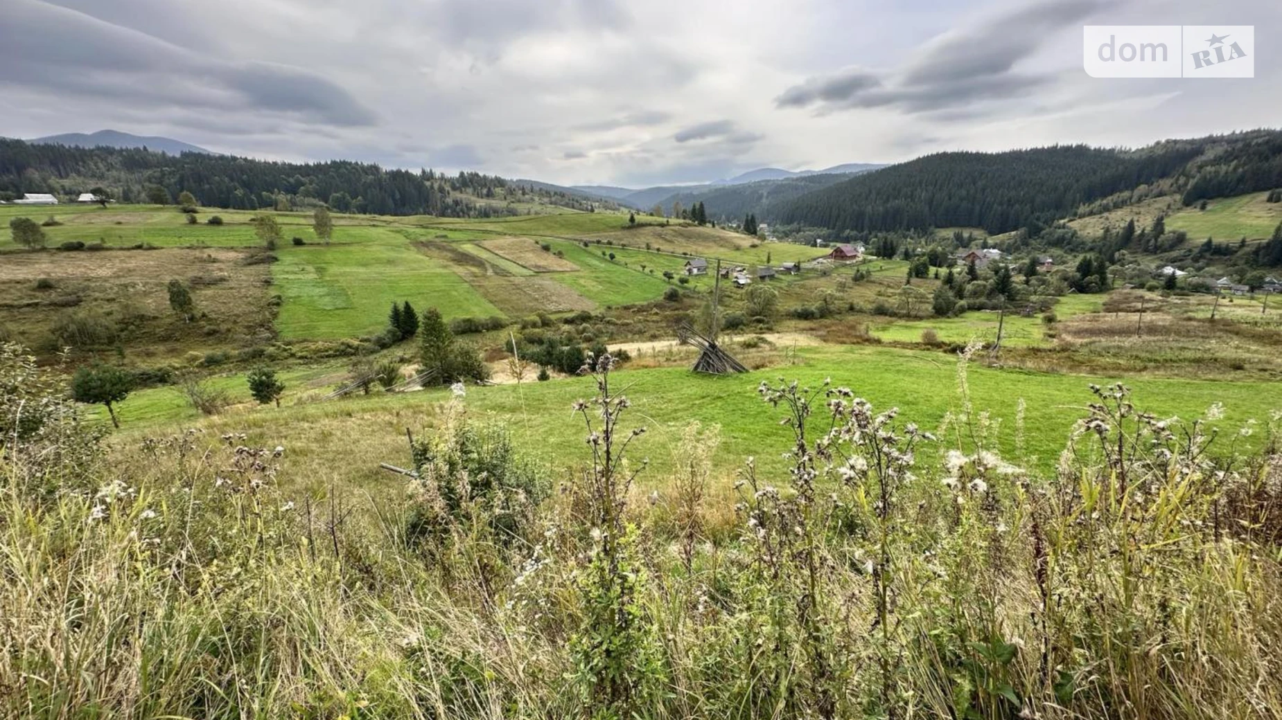 Шубинця Вишков, цена: 60000 $ - фото 5