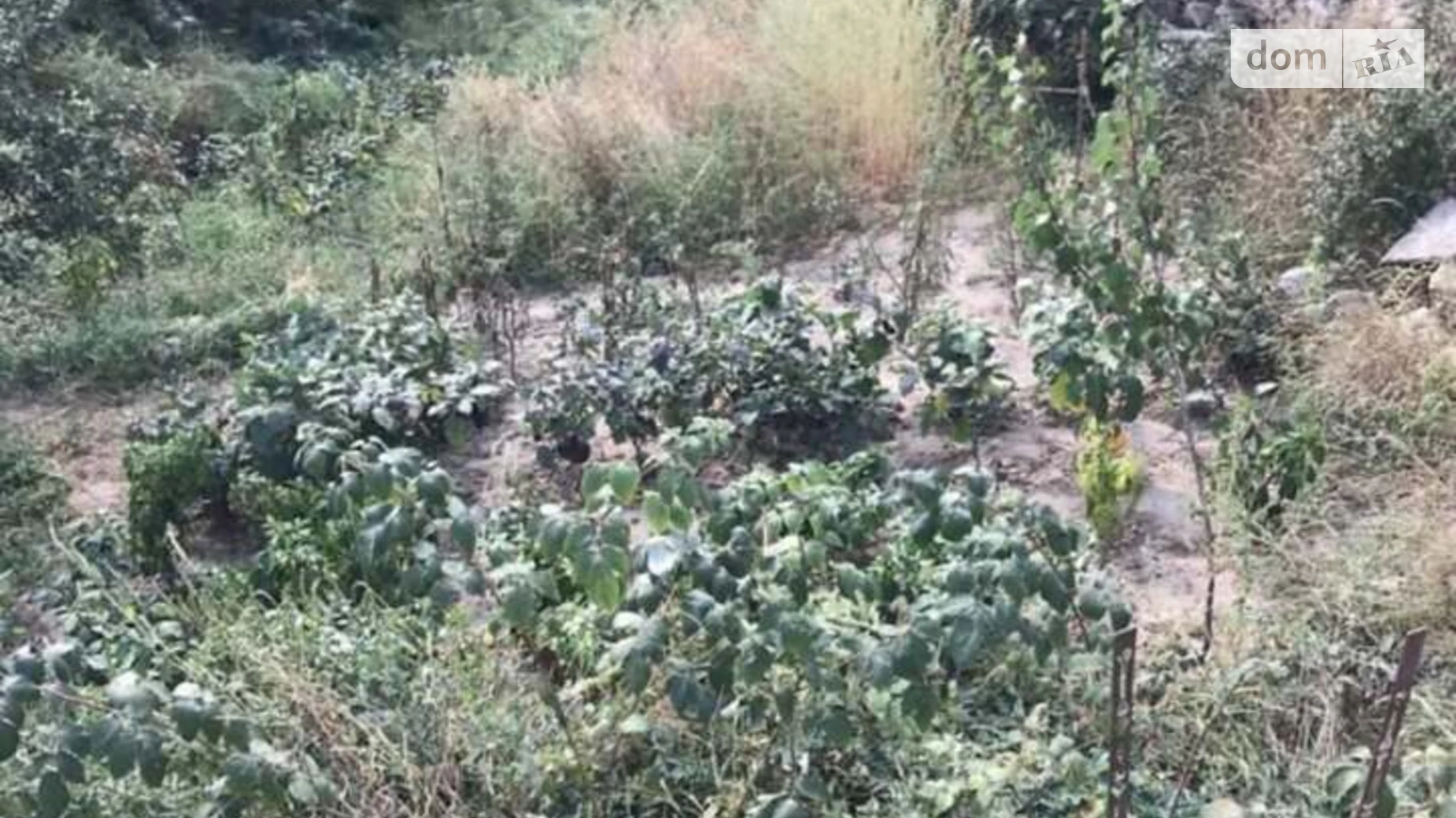 ул. Синеводская(Маяковского) Старый город Винница, цена: 40000 $ - фото 5