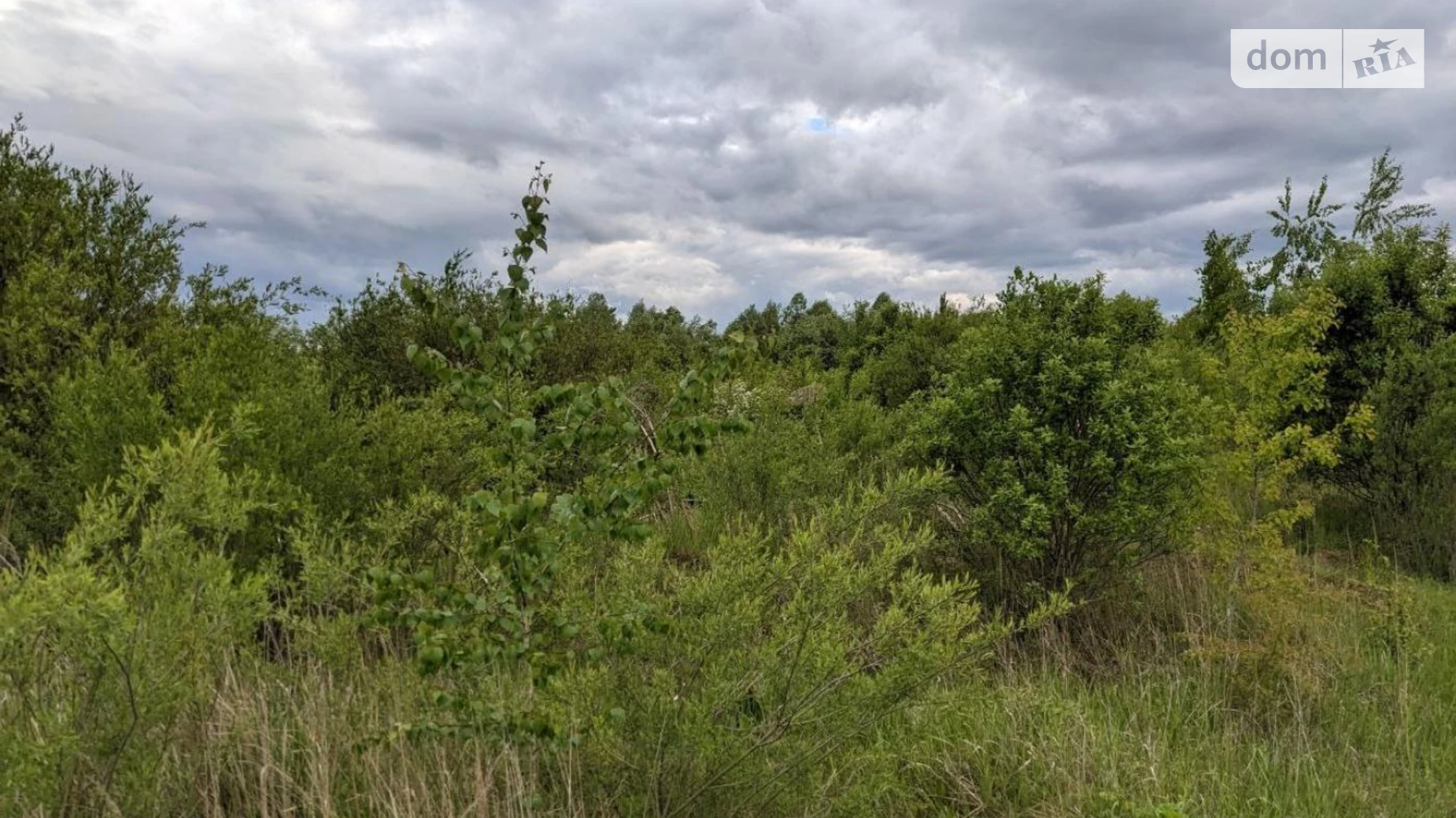 вул. Вячеслава Чорновола Старий Лисець, цена: 7500 $ - фото 2