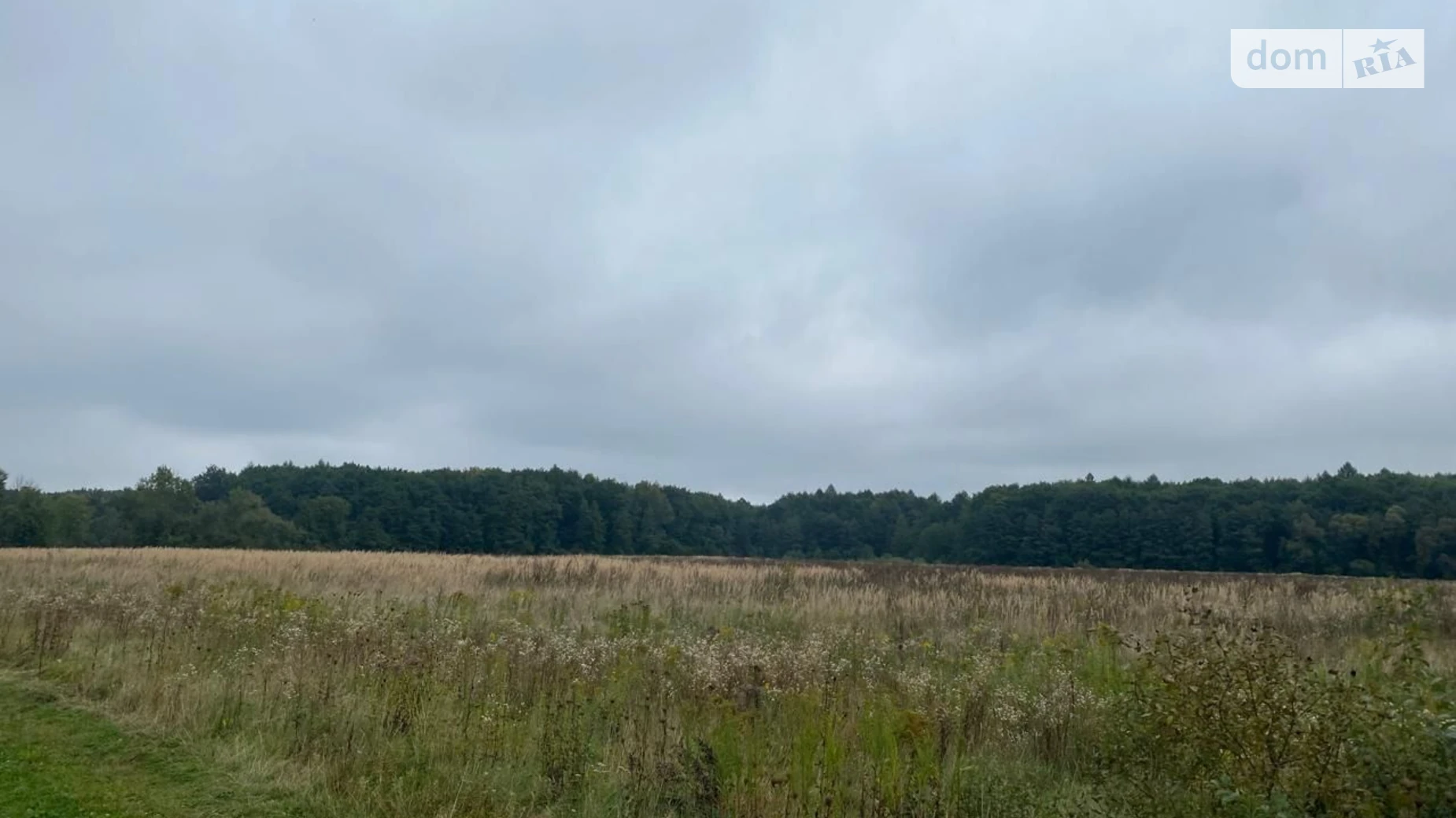 Здається в оренду земельна ділянка 10 соток у Львівській області, цена: 19343 грн - фото 2