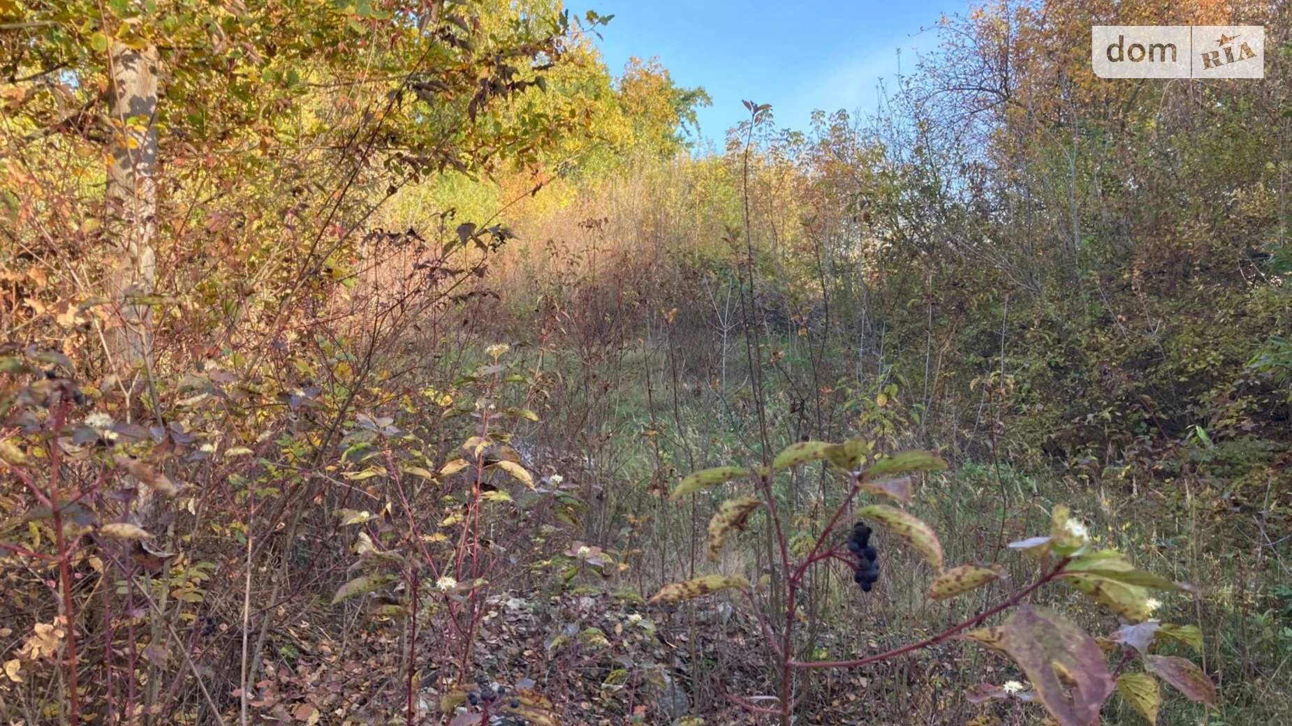 Гусятин, цена: 551200 грн - фото 3