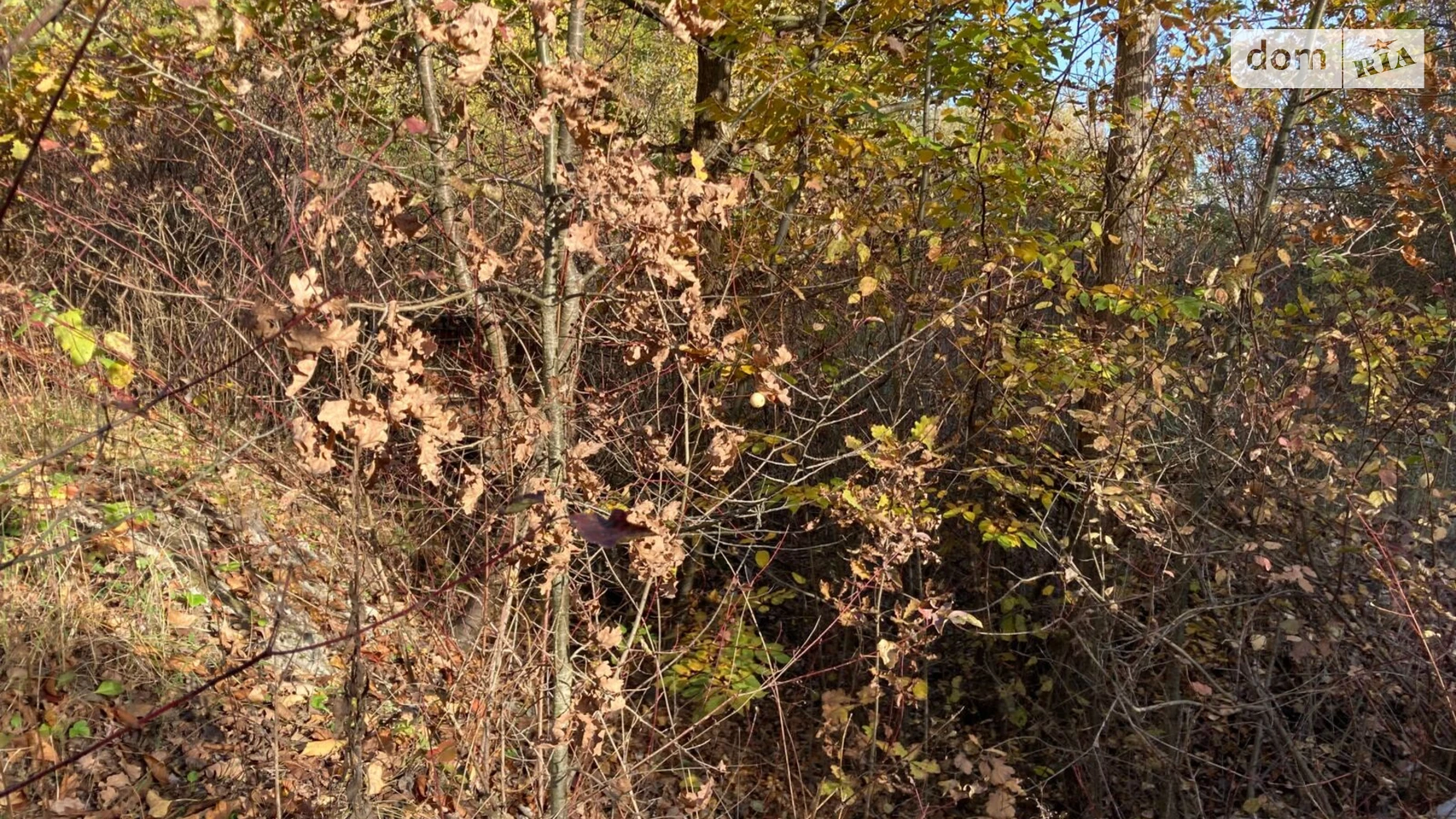 Гусятин, цена: 551200 грн - фото 4