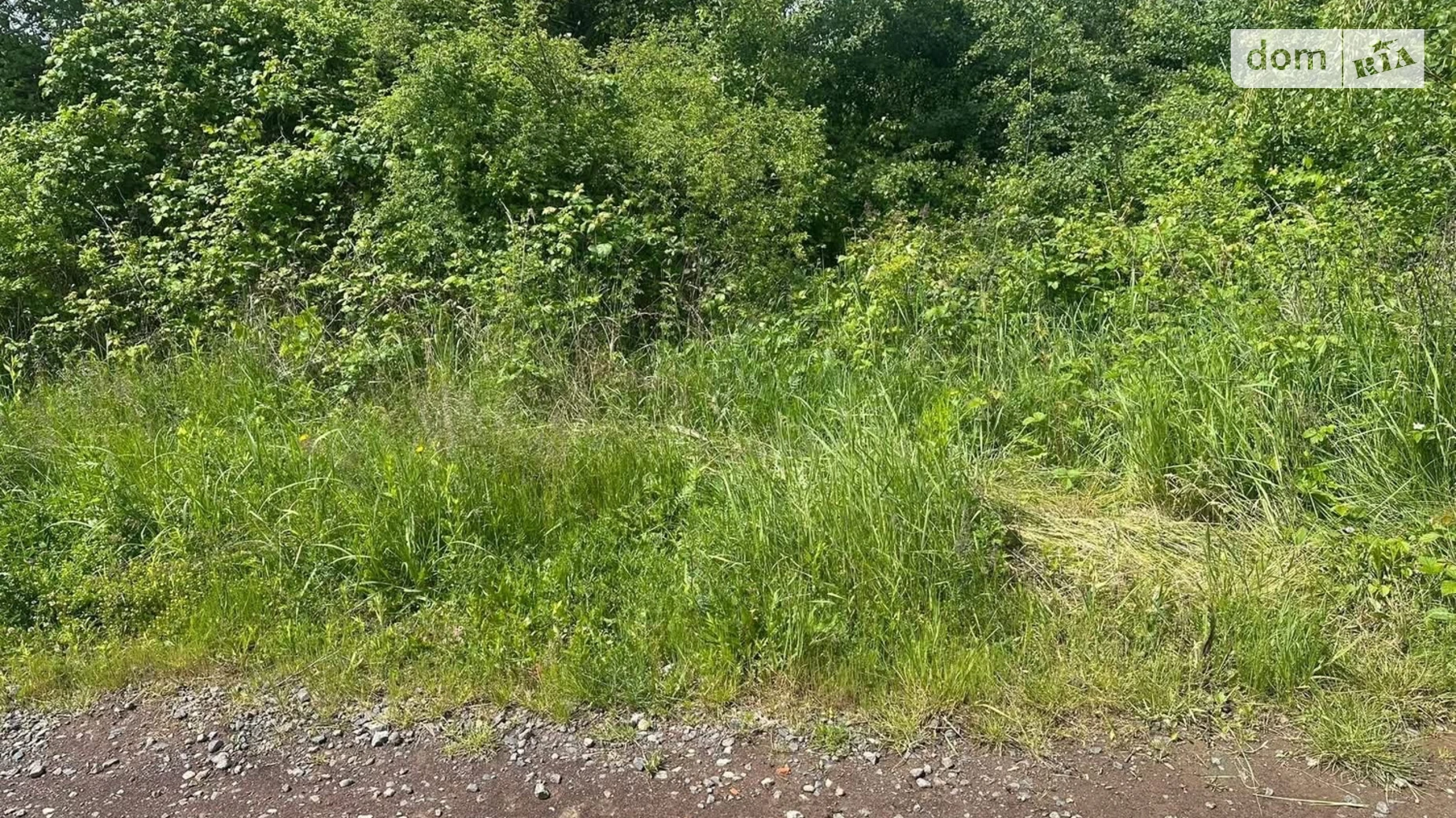 Оноковцы, цена: 30000 $ - фото 4