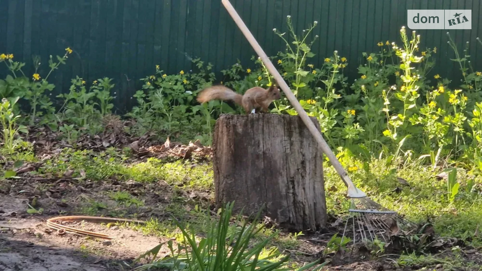 Продается одноэтажный дом 55 кв. м с мебелью, цена: 43000 $ - фото 5