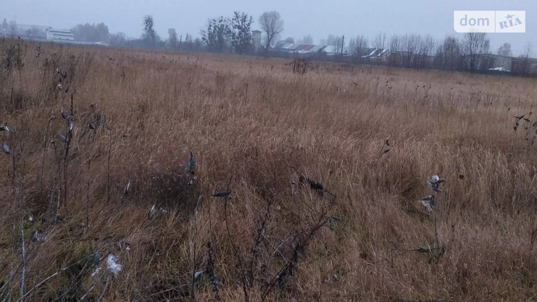 Сдается в аренду земельный участок 13.3802 соток в Киевской области, цена: 280985 грн - фото 2