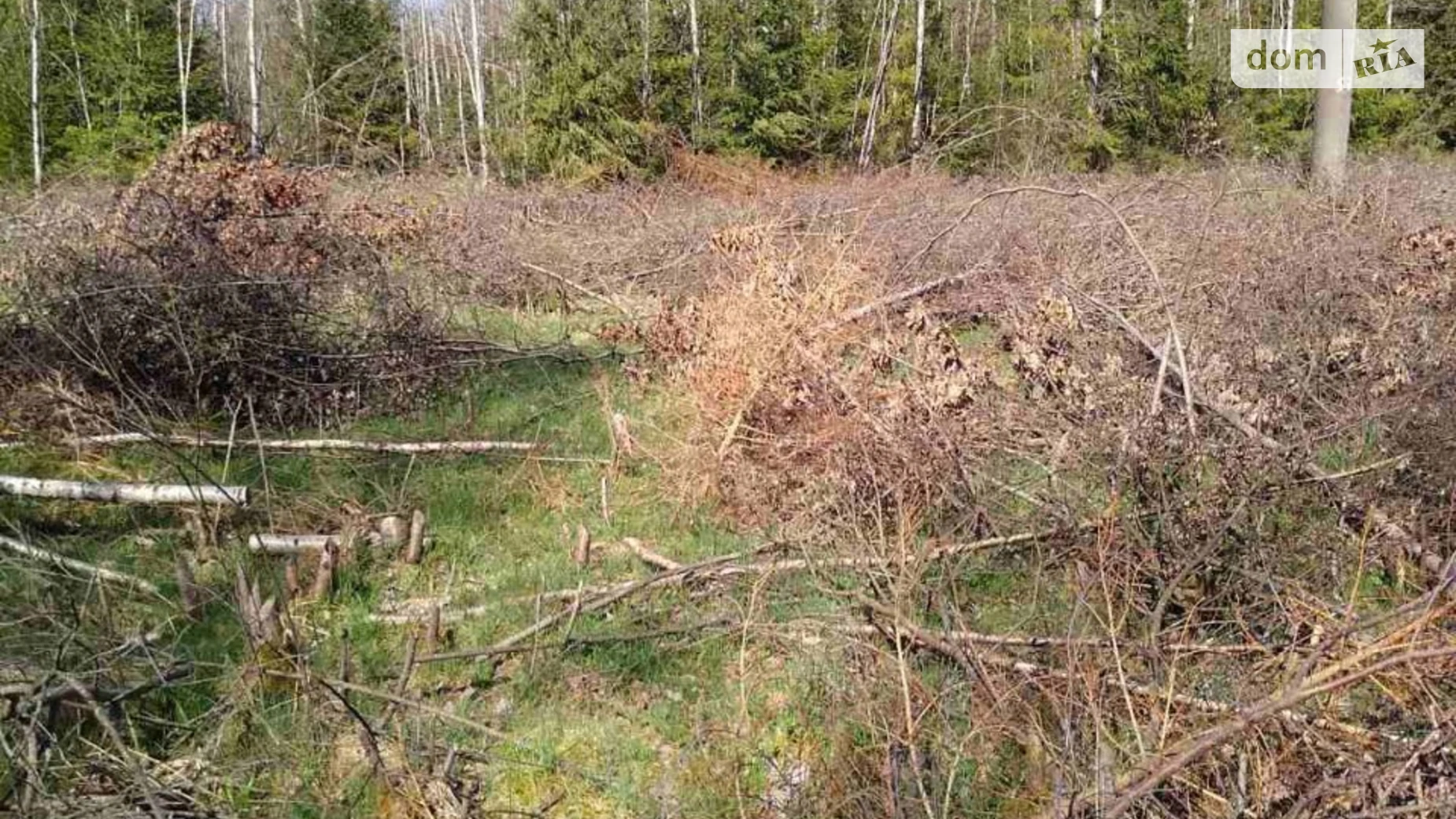 Глубокое, цена: 14413 грн - фото 2