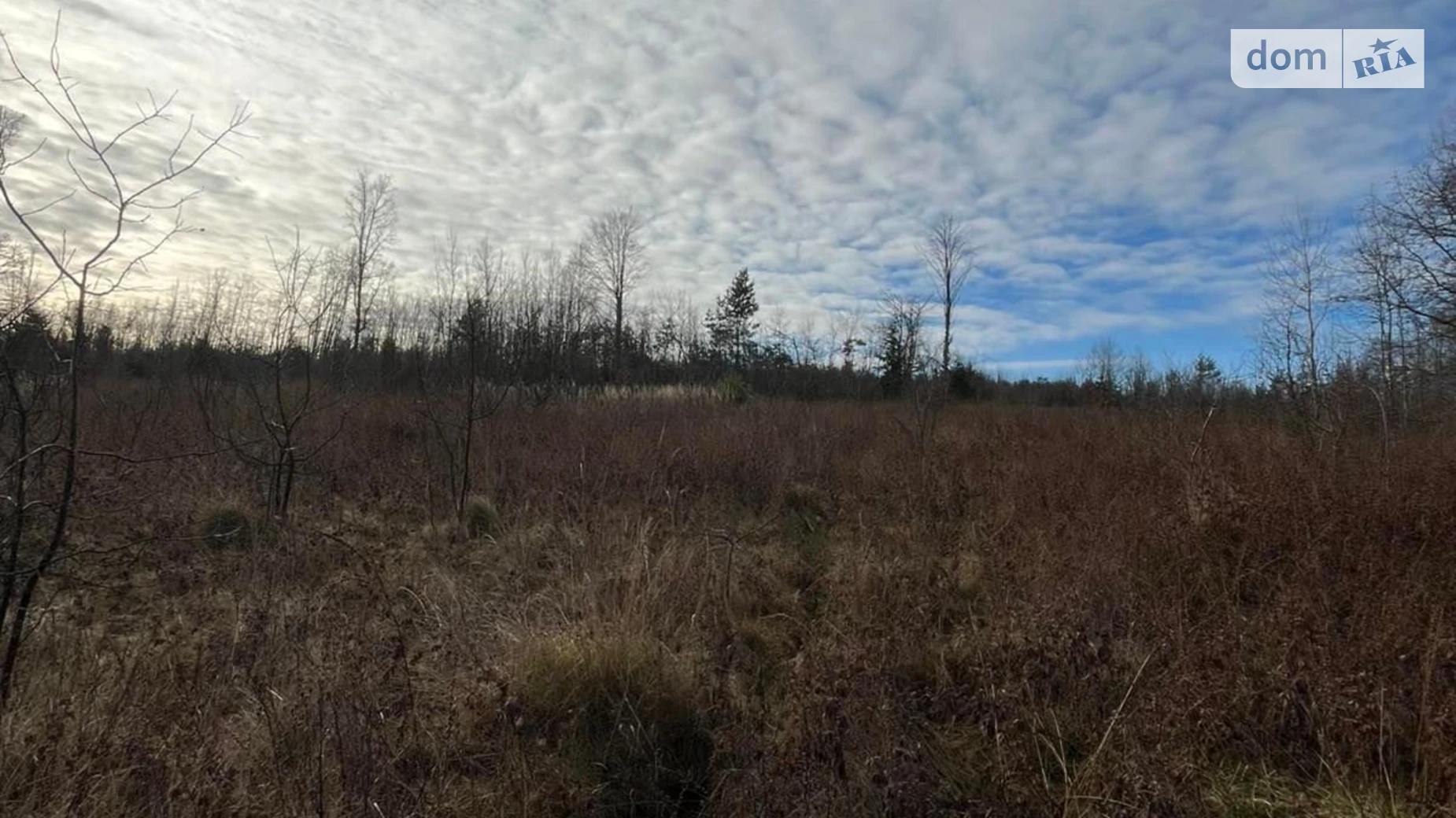 Сдается в аренду земельный участок 1.0359 соток в  области, цена: 1051 грн - фото 3