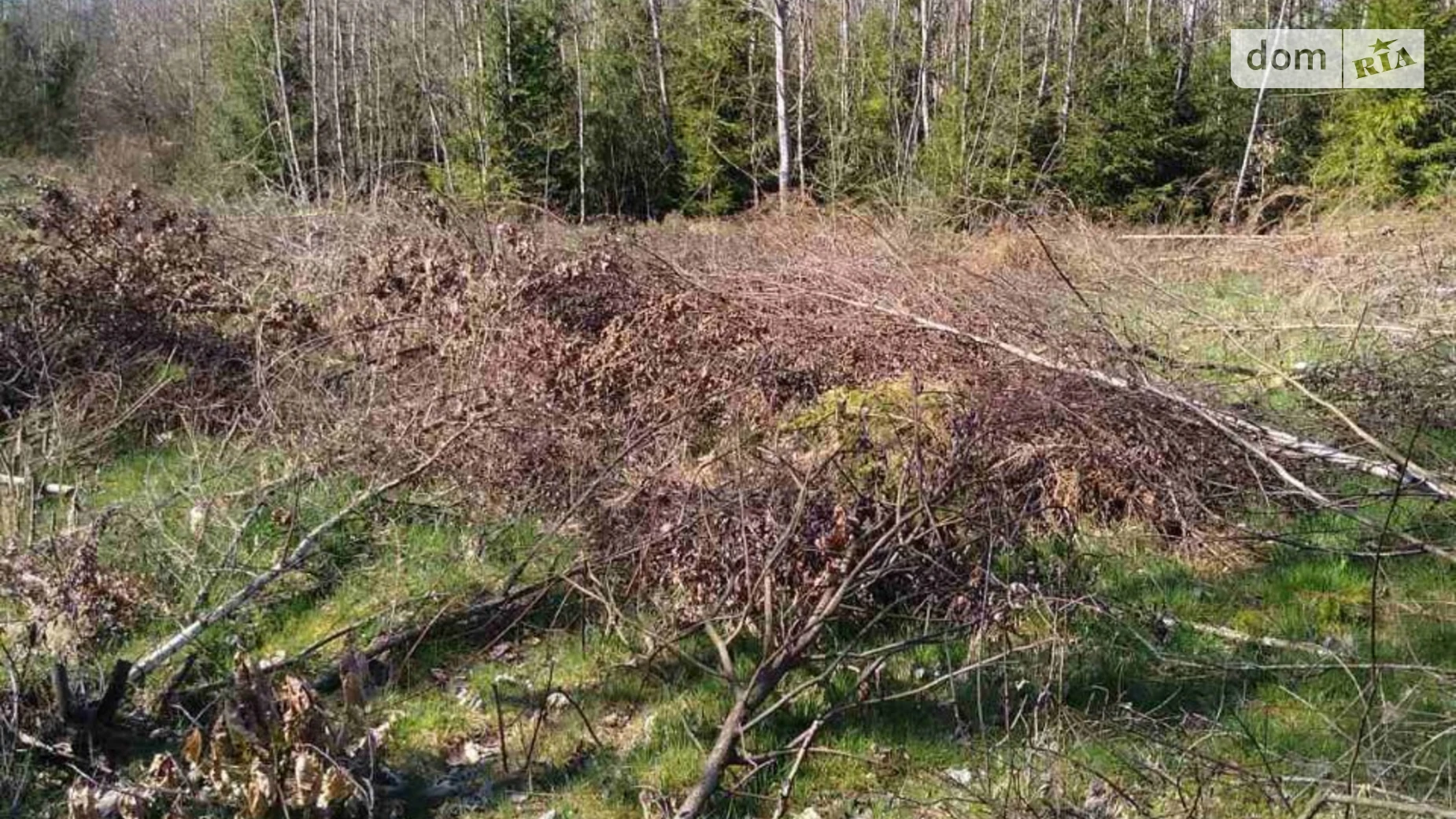 Глубокое, цена: 14434 грн - фото 2