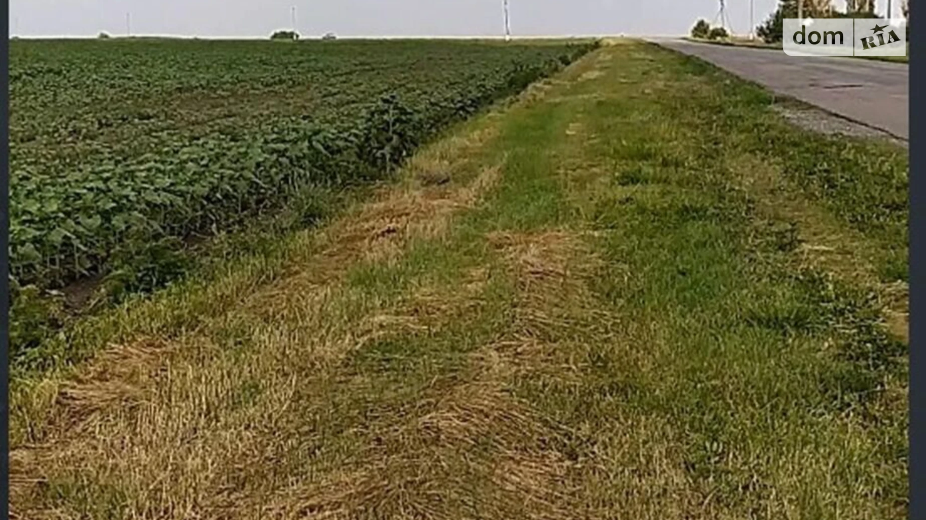 Шатовка, цена: 47841 грн - фото 2