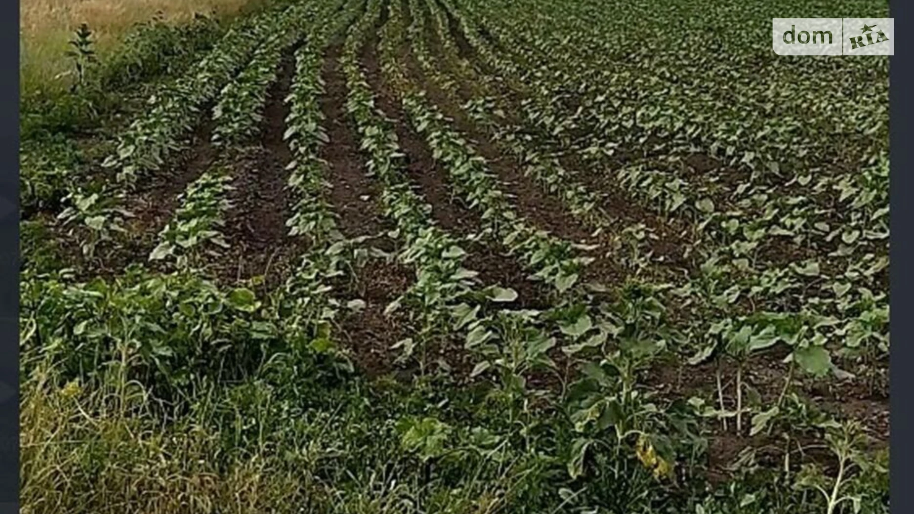 Шатовка, цена: 47841 грн - фото 3