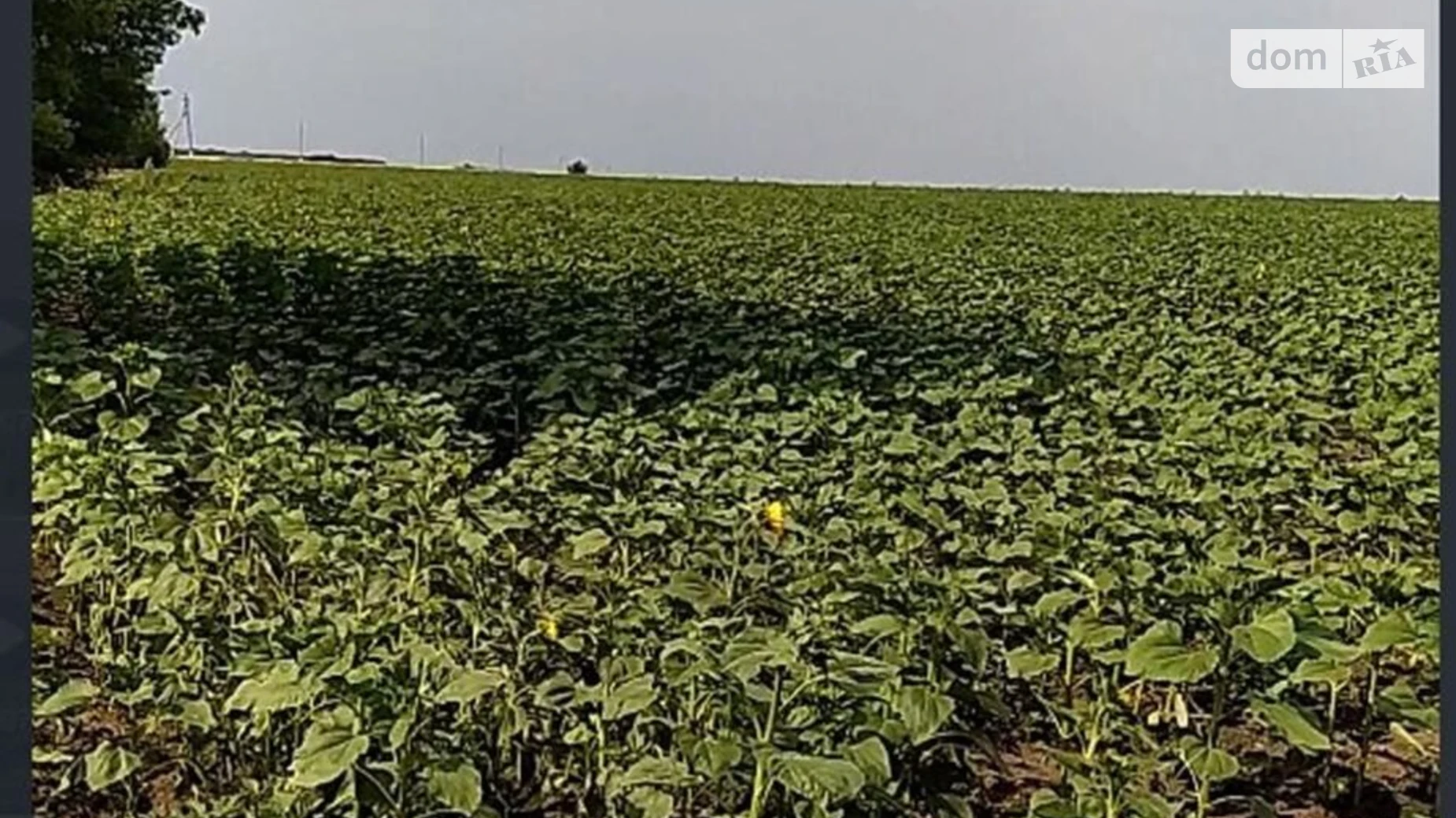 Шатовка, цена: 44197 грн - фото 2