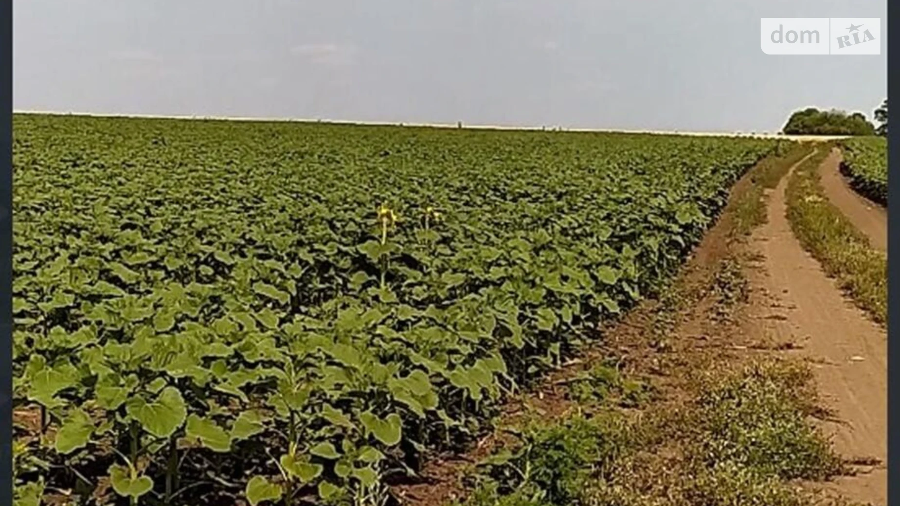 Шатовка, цена: 44197 грн - фото 3