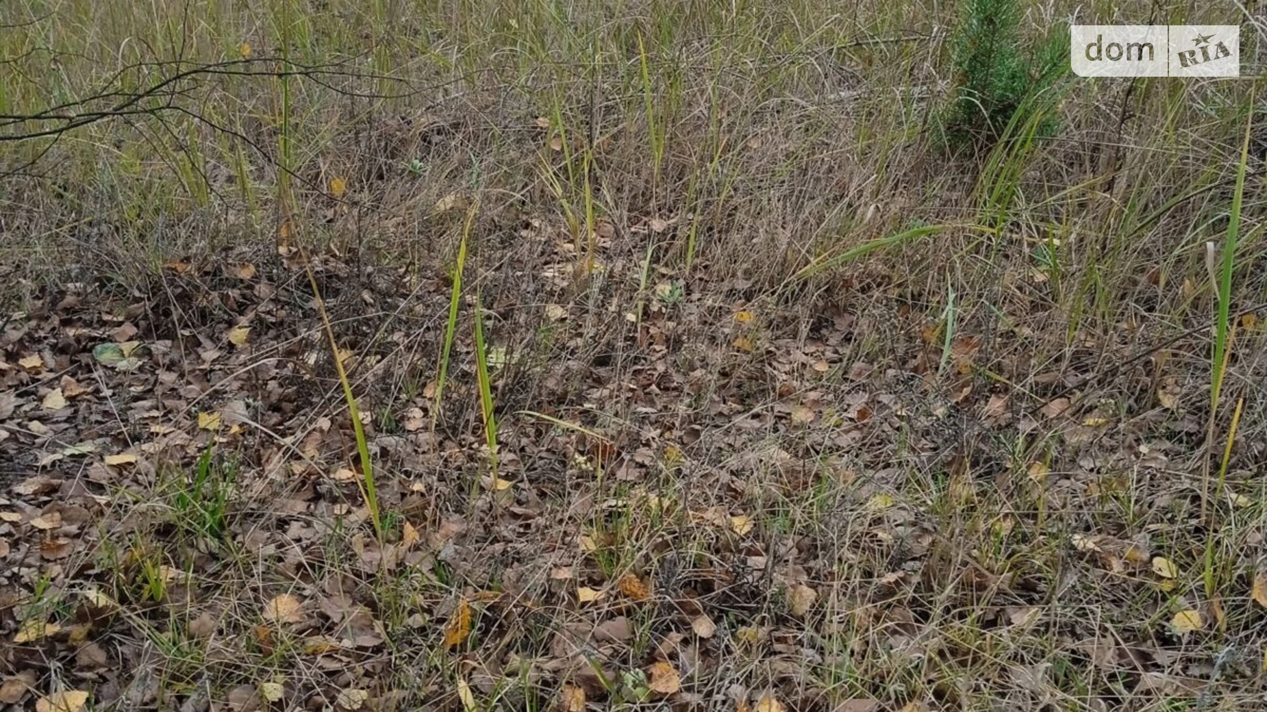Сдается в аренду земельный участок 9.8778 соток в  области, цена: 15887 грн - фото 4