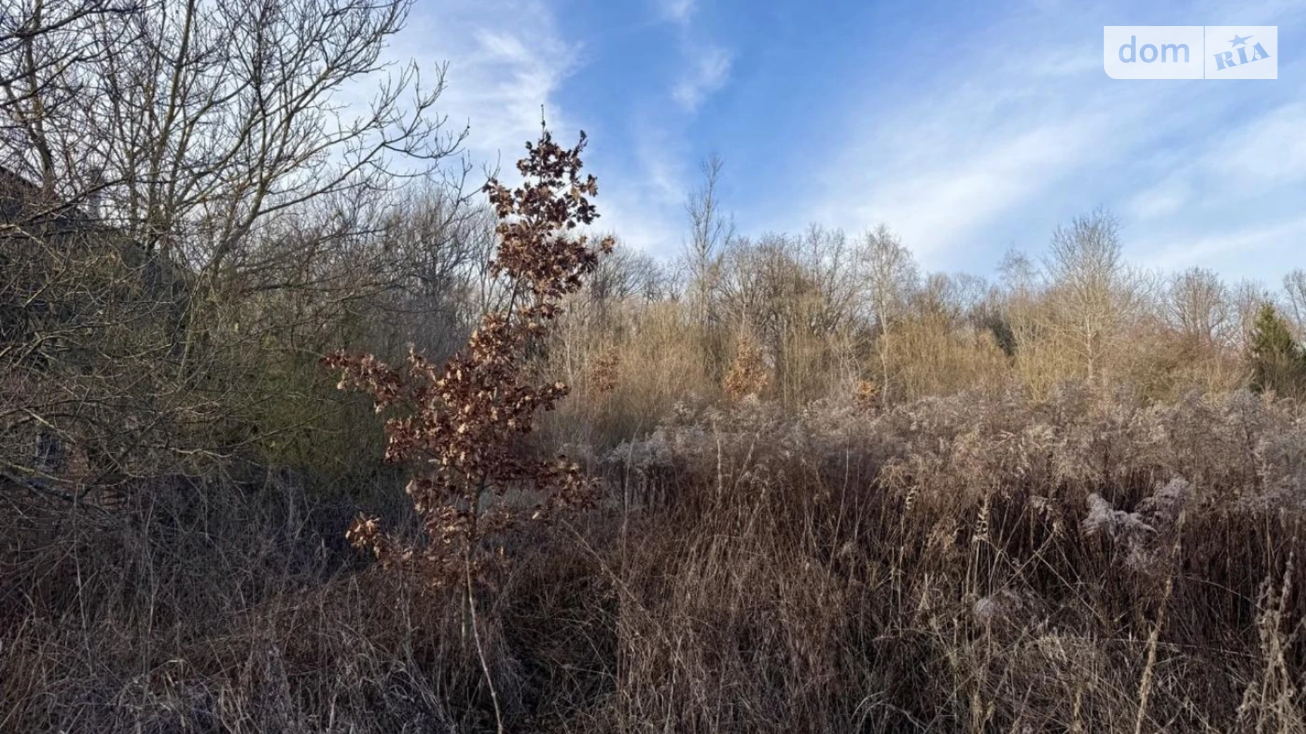 Никитинцы (Ивано-Франковск), цена: 5500 $ - фото 2