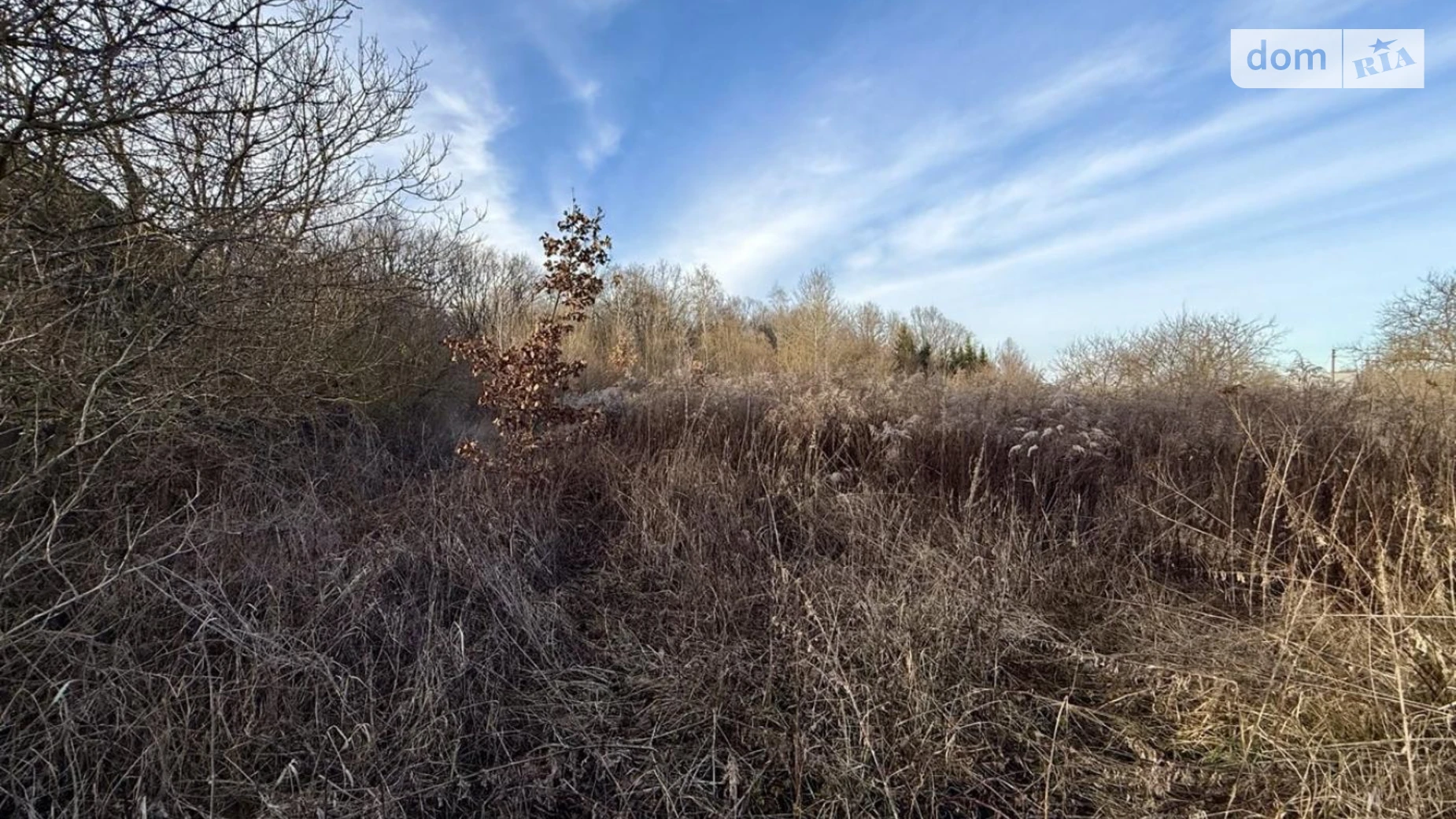 Никитинцы (Ивано-Франковск), цена: 5500 $ - фото 3