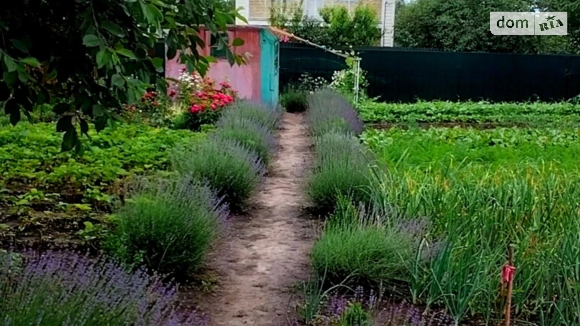 ул. Виноградная Староконстантинов, цена: 11500 $ - фото 2