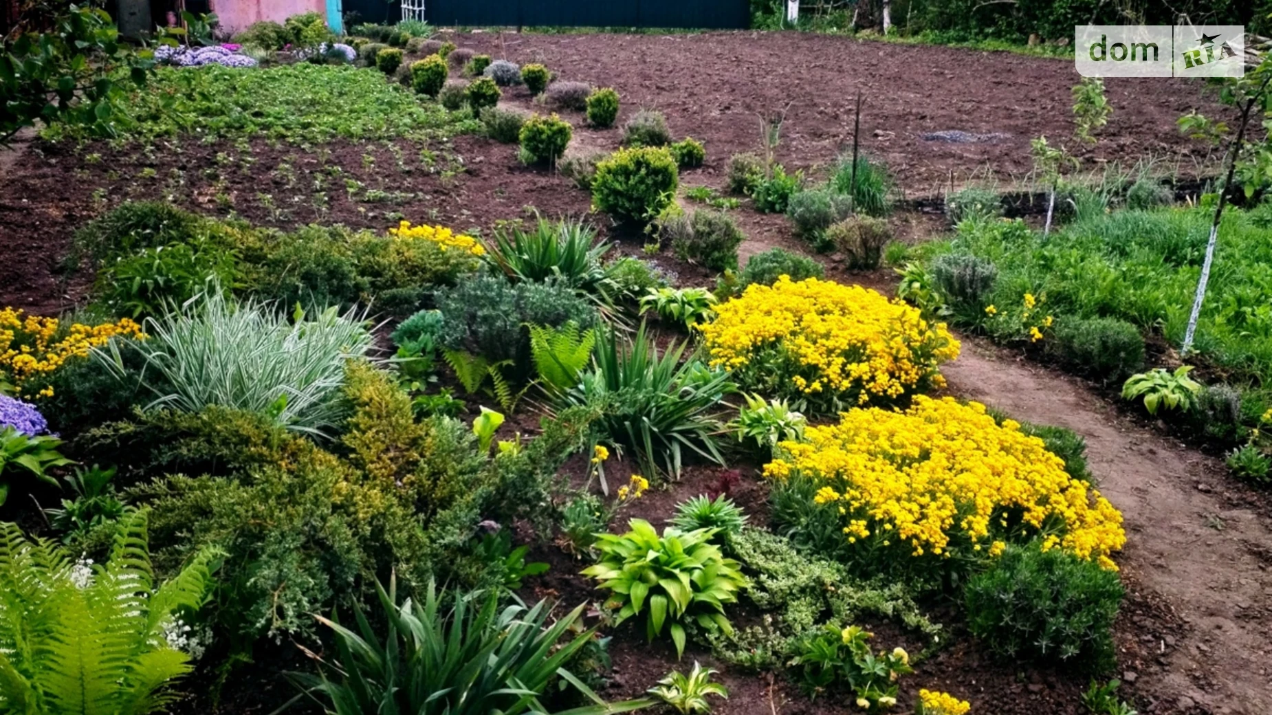 ул. Виноградная Староконстантинов, цена: 11500 $ - фото 3