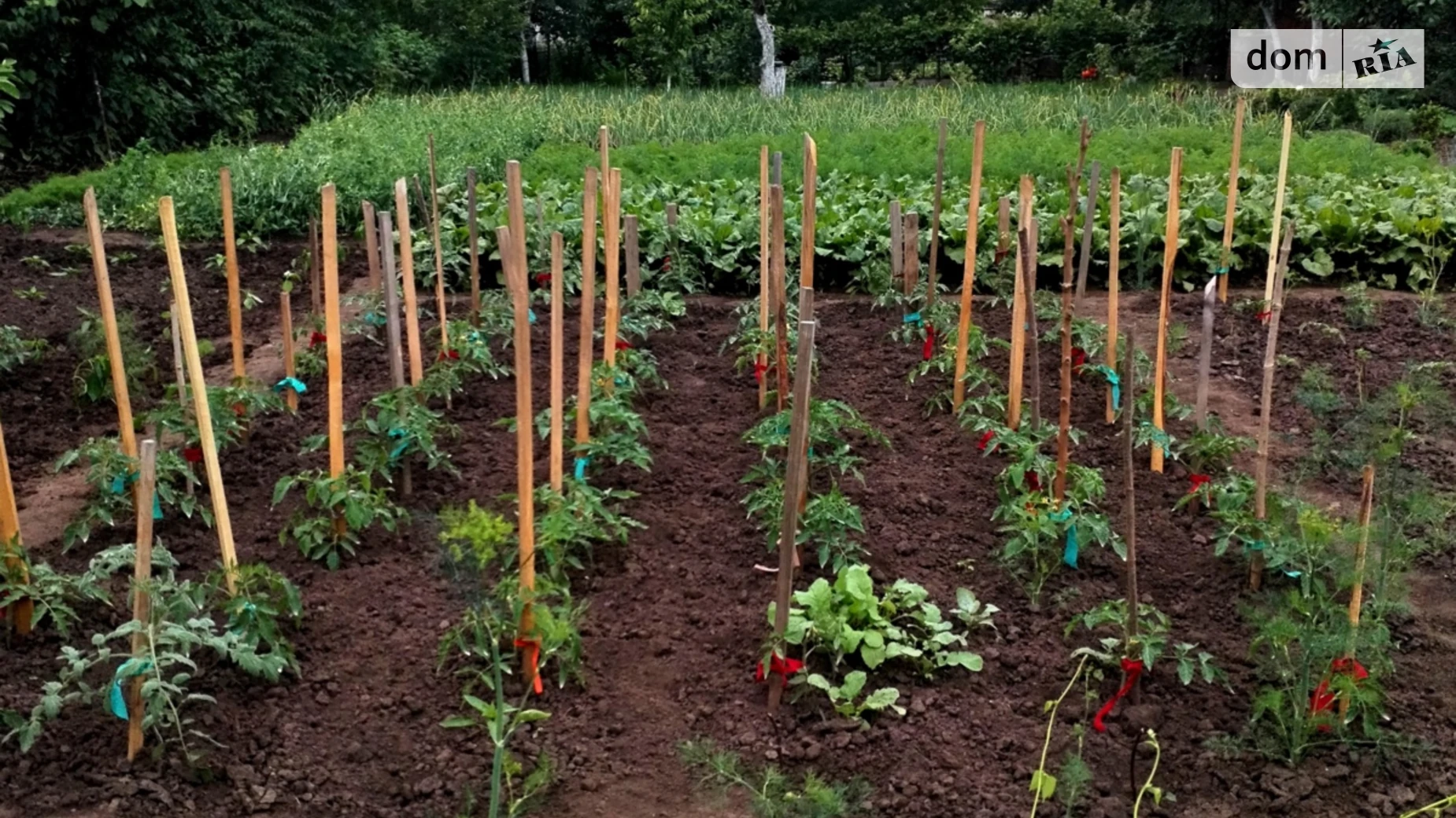 ул. Виноградная Староконстантинов, цена: 11500 $ - фото 4