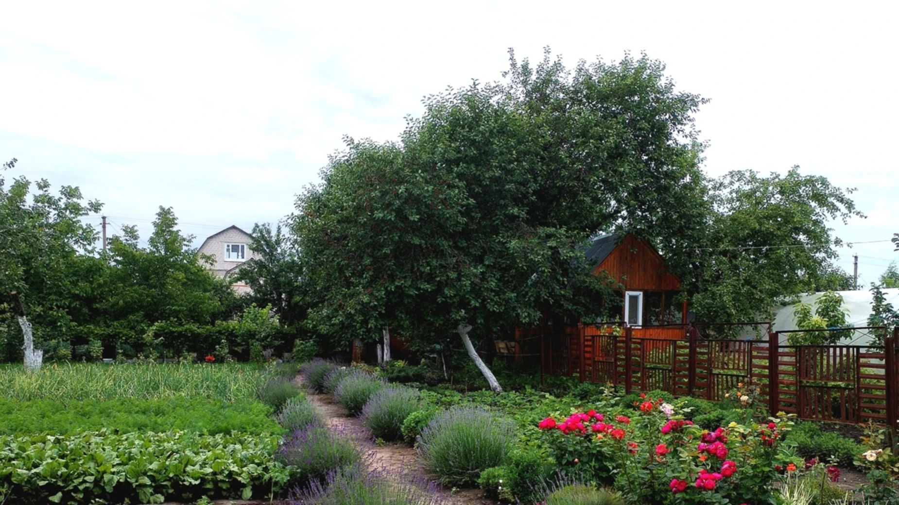 ул. Виноградная Староконстантинов, цена: 11500 $ - фото 5