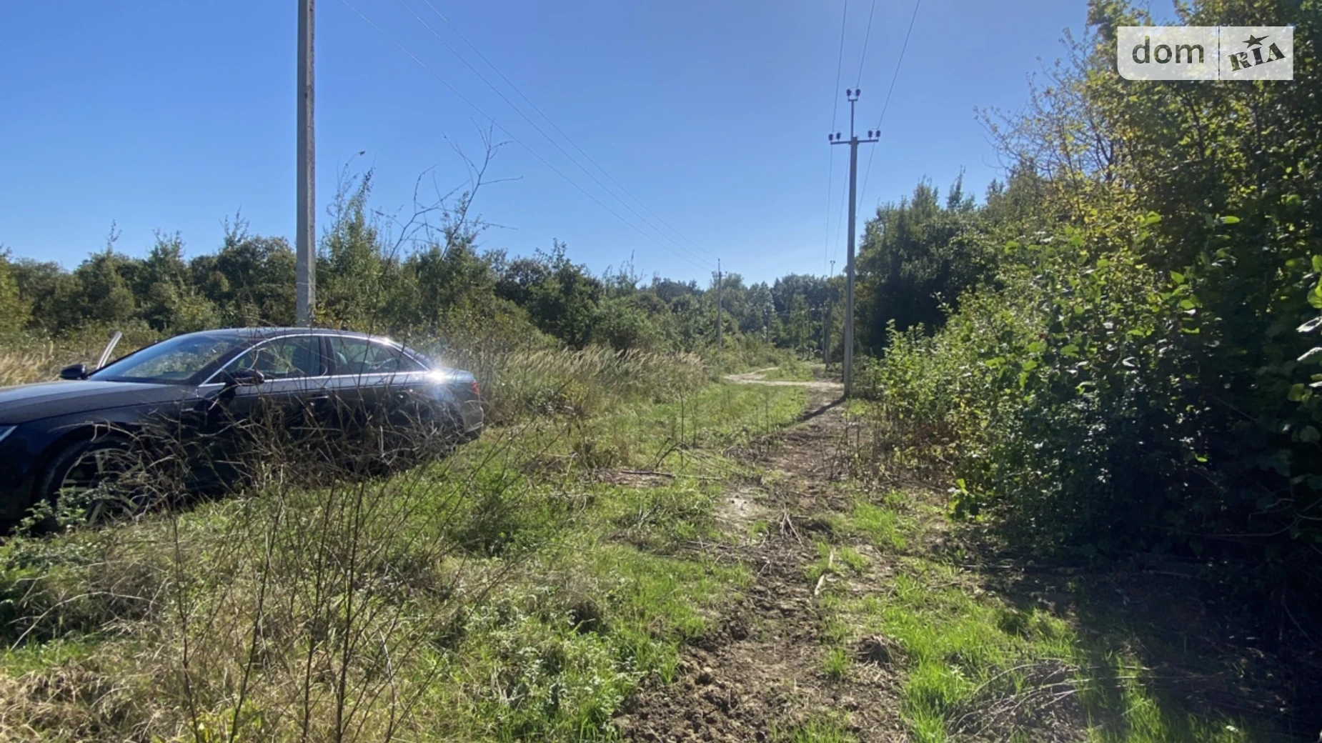 Зубра, цена: 43500 $ - фото 2