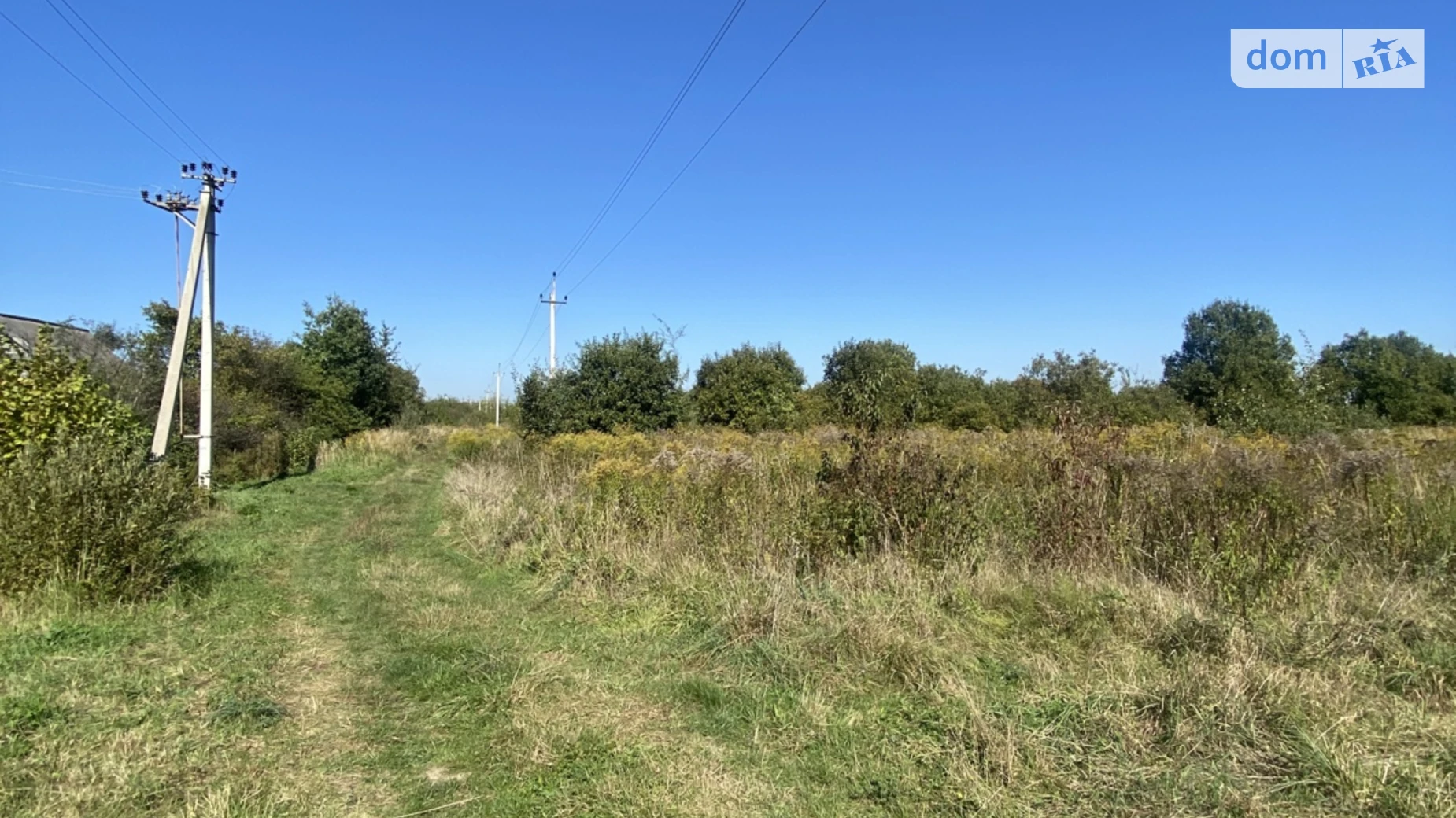 Зубра, цена: 43500 $ - фото 4