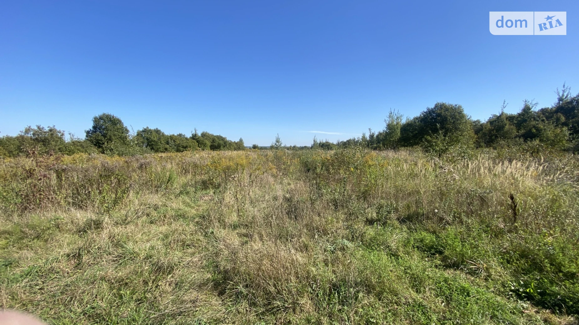 Зубра, цена: 43500 $ - фото 5