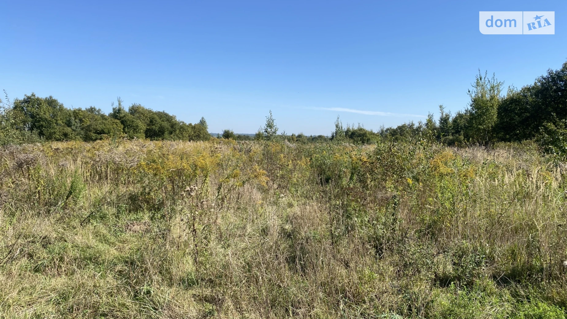 Зубра, цена: 43500 $ - фото 3