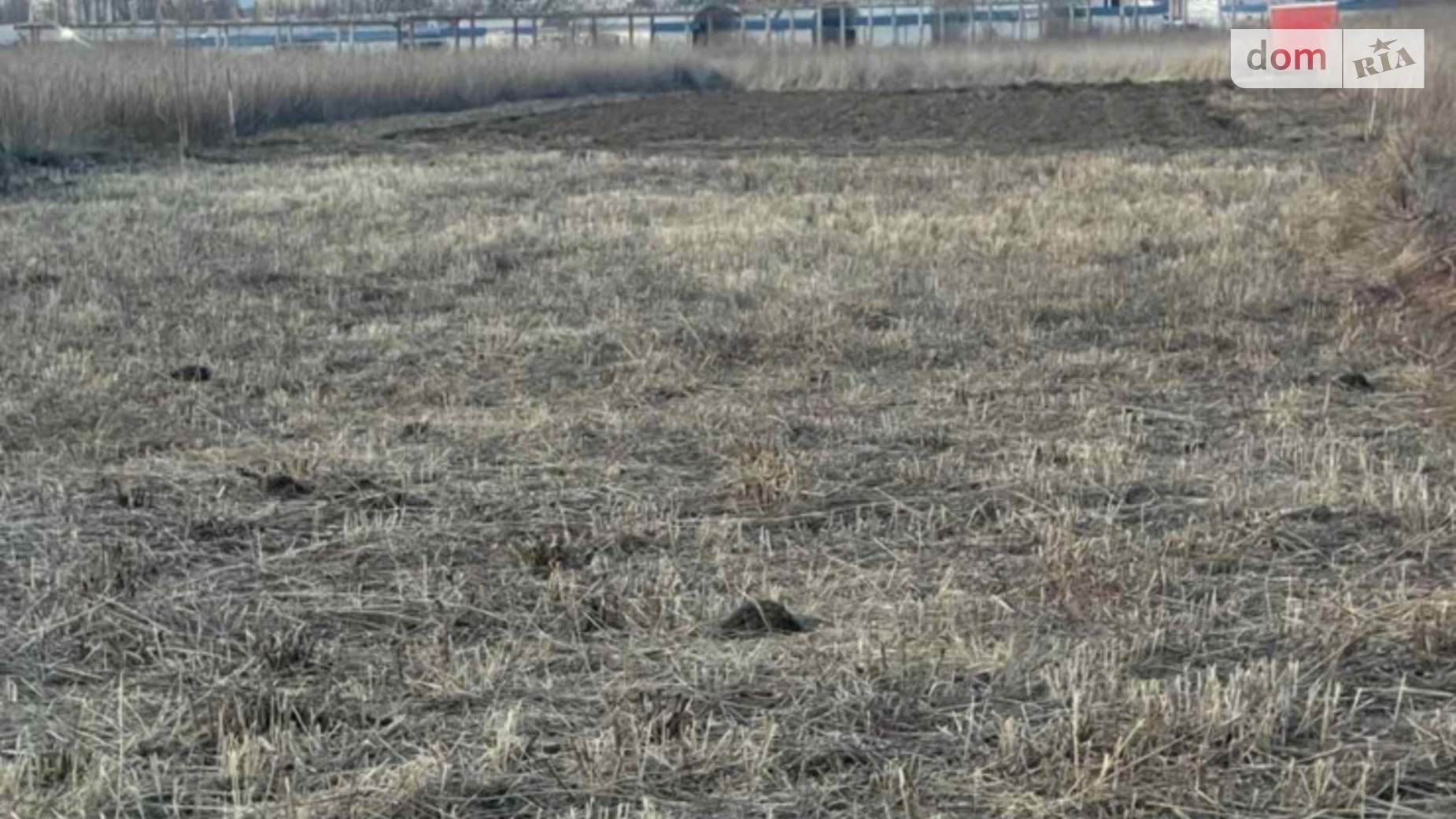 Продается земельный участок 12 соток в Волынской области, цена: 26000 $ - фото 2