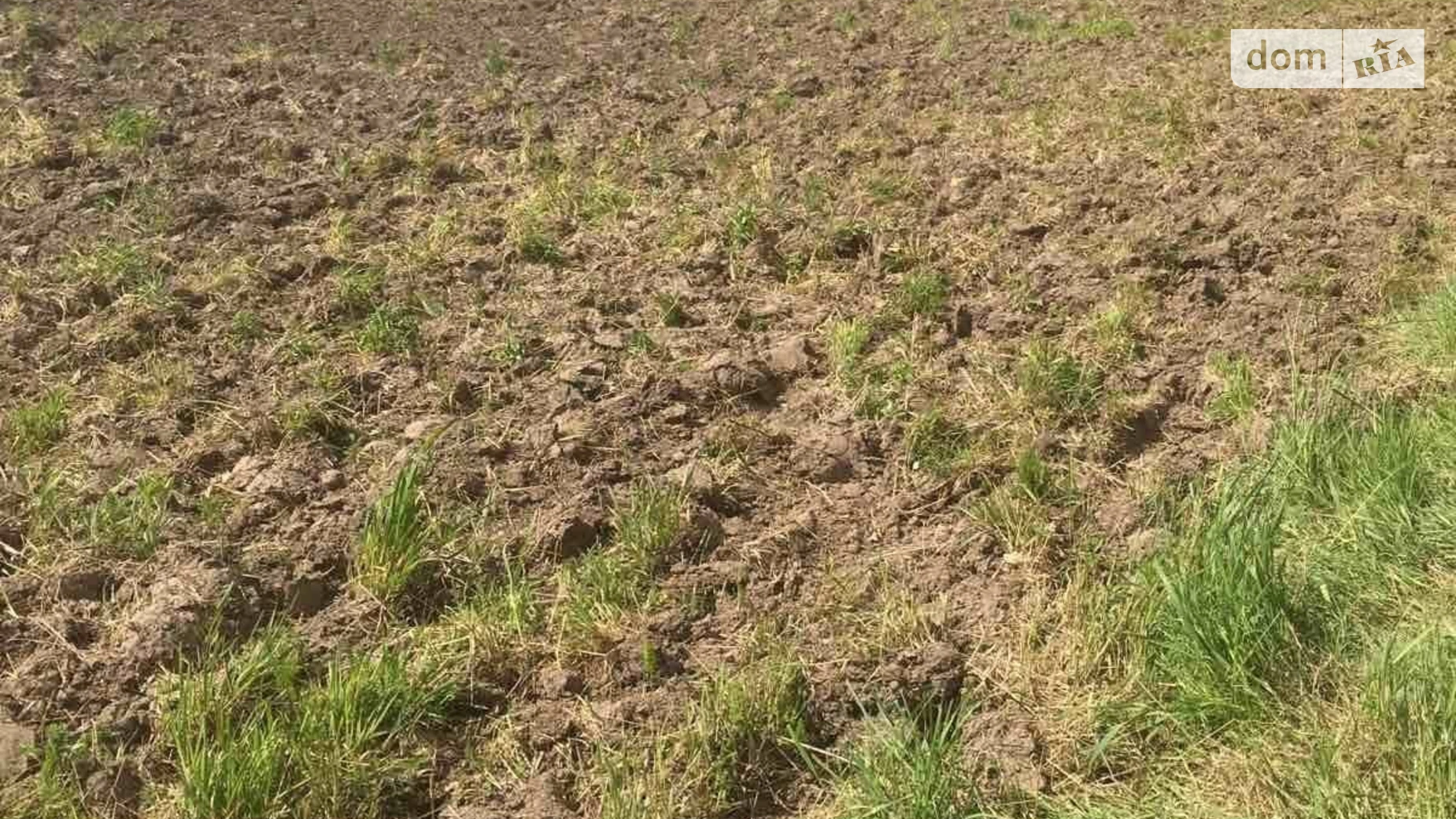 Тарасово, цена: 1500 $ - фото 5