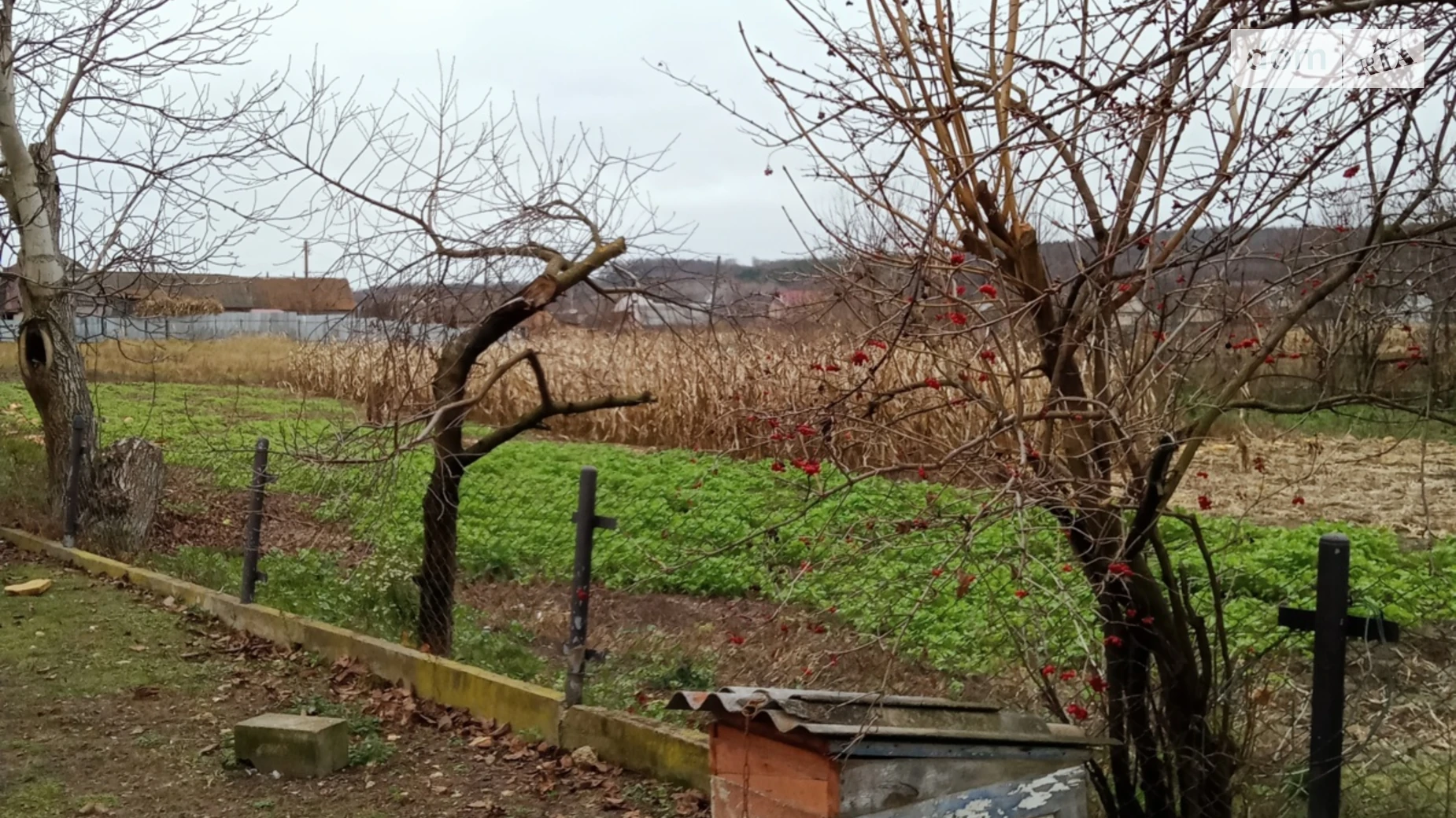 Продается одноэтажный дом 79 кв. м с беседкой, цена: 15000 $ - фото 4